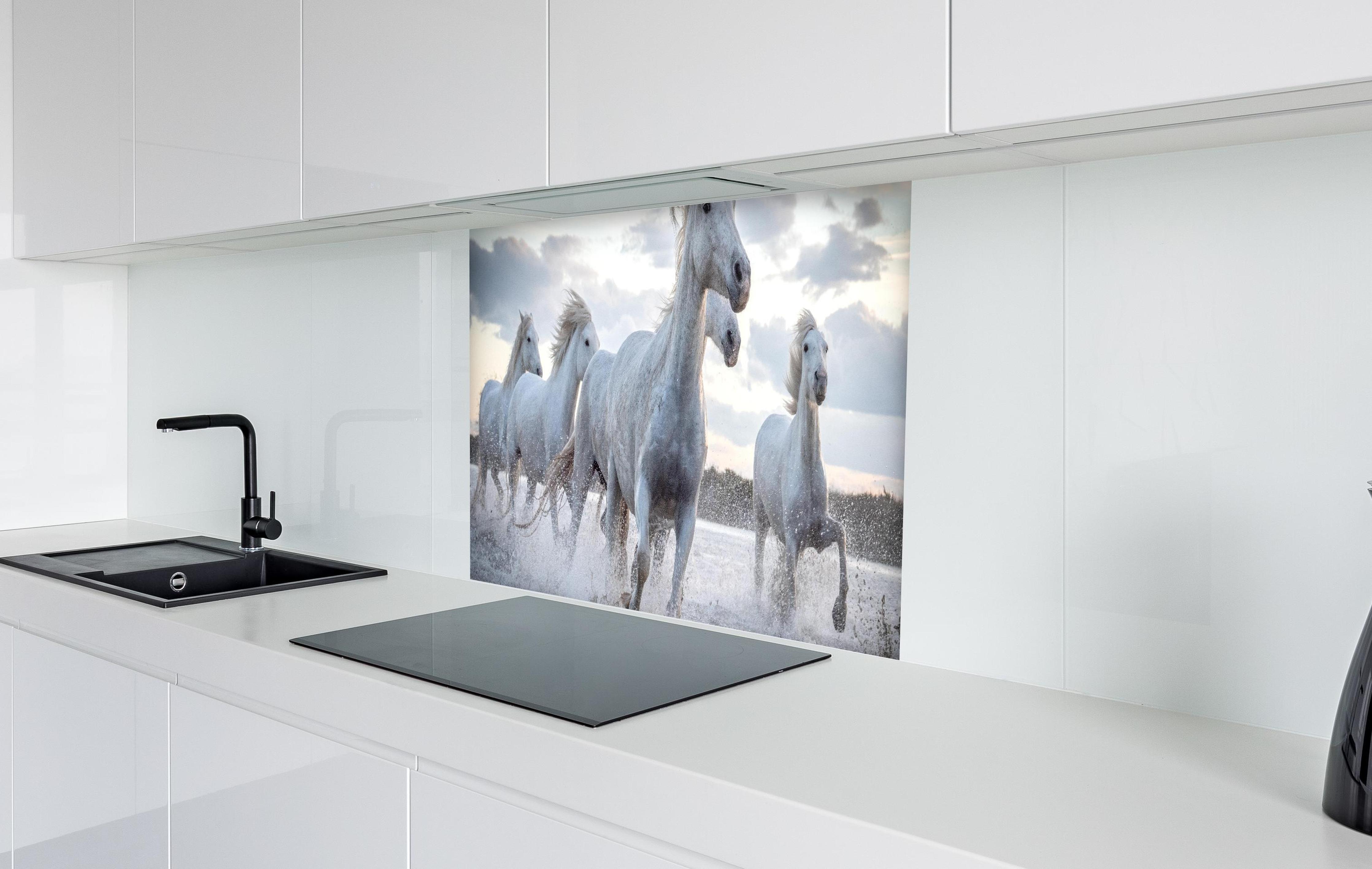 Spritzschutz - Ruhiger Eiffelturm bei Tag  in weißer Hochglanz-Küche hinter einem Cerankochfeld