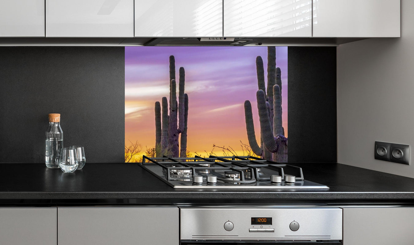 Spritzschutz - Saguaro-Kaktus bei Sonnenuntergang in Arizona an edler Anthrazit-Wand hinter silbernem Gasherd