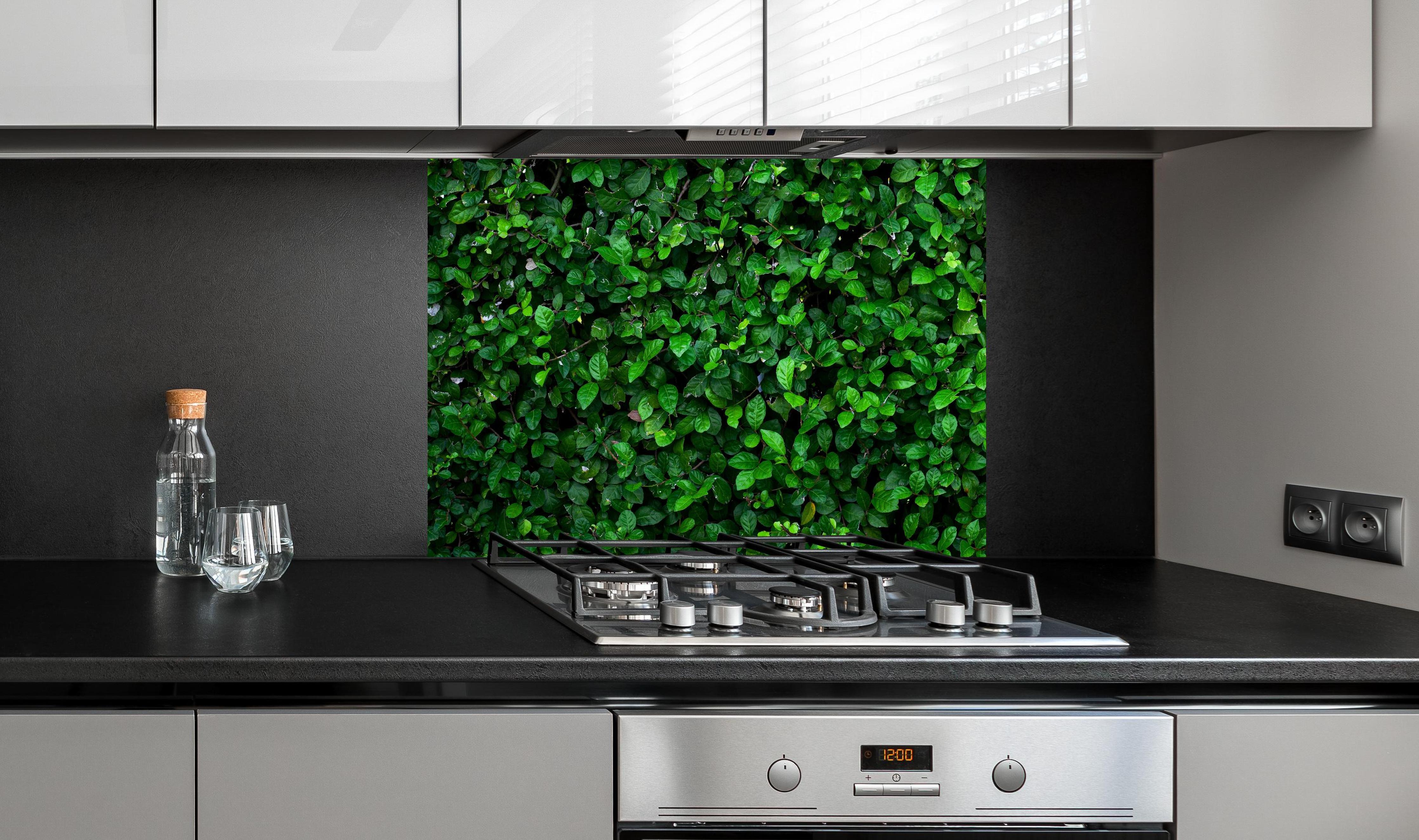 Spritzschutz - Satte grüne Blätter an edler Anthrazit-Wand hinter silbernem Gasherd