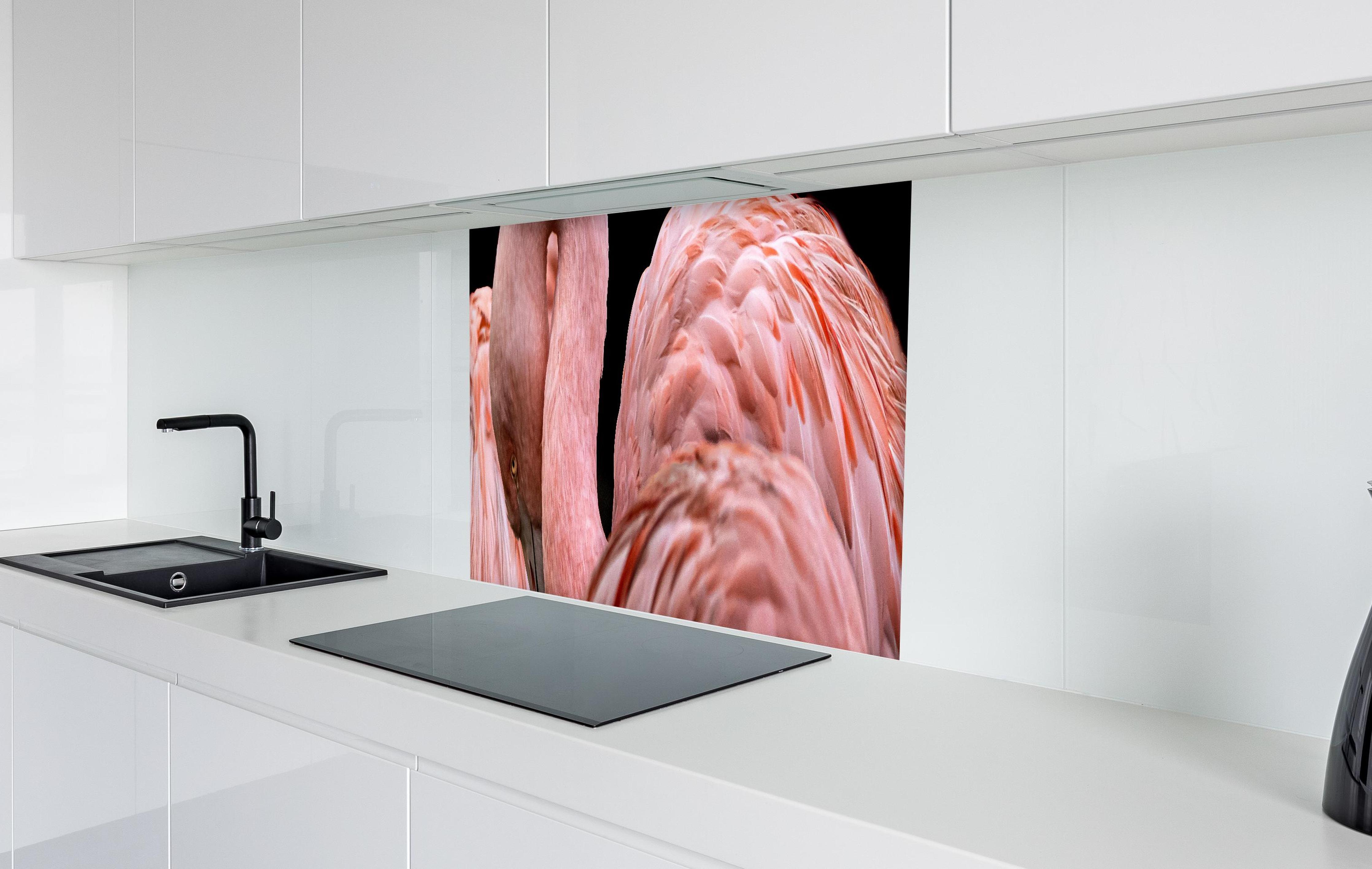 Spritzschutz - Schnappschuss eines Flamingo  in weißer Hochglanz-Küche hinter einem Cerankochfeld