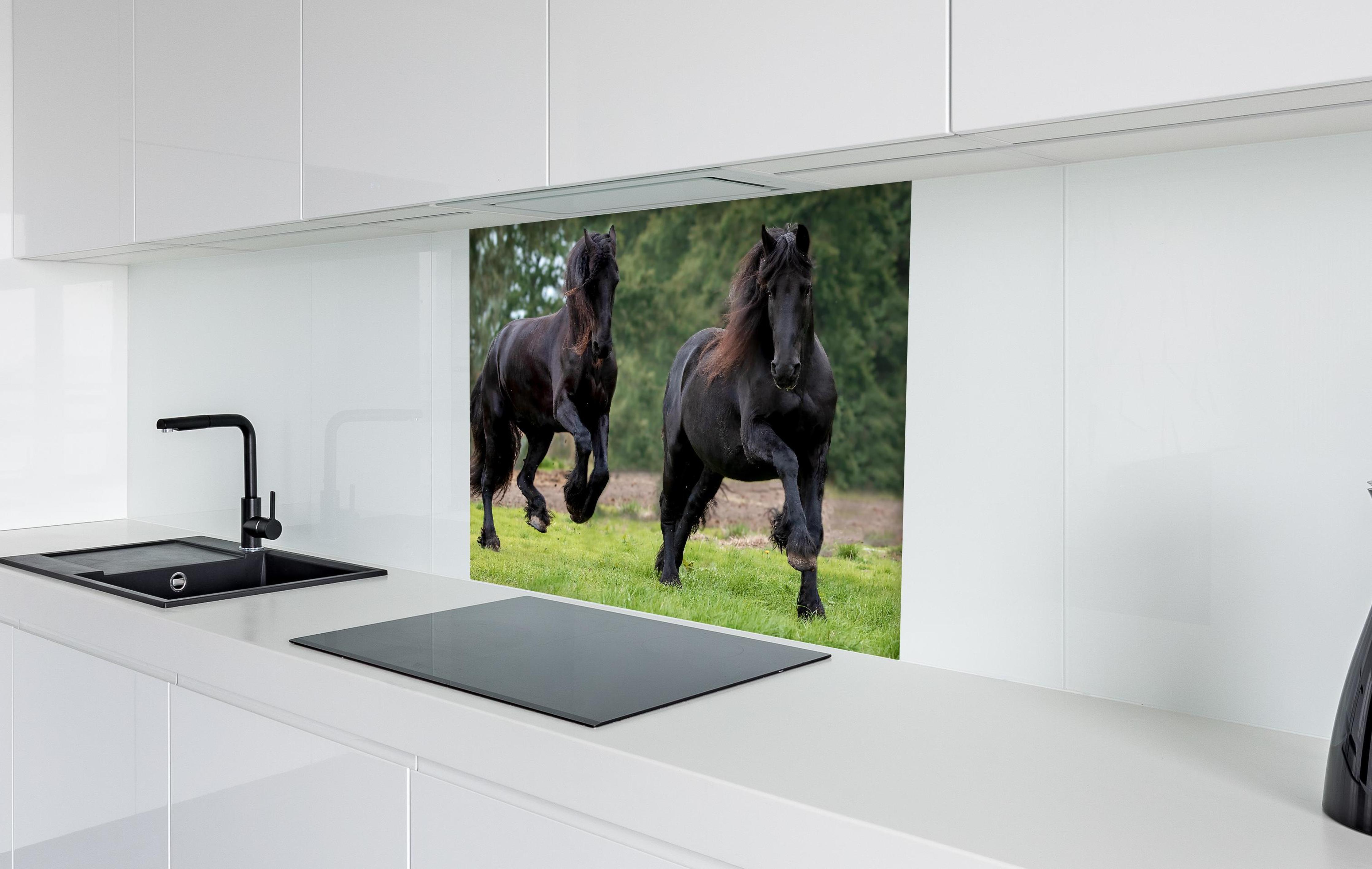 Spritzschutz - Schwarze prächtige Friesenpferde  in weißer Hochglanz-Küche hinter einem Cerankochfeld