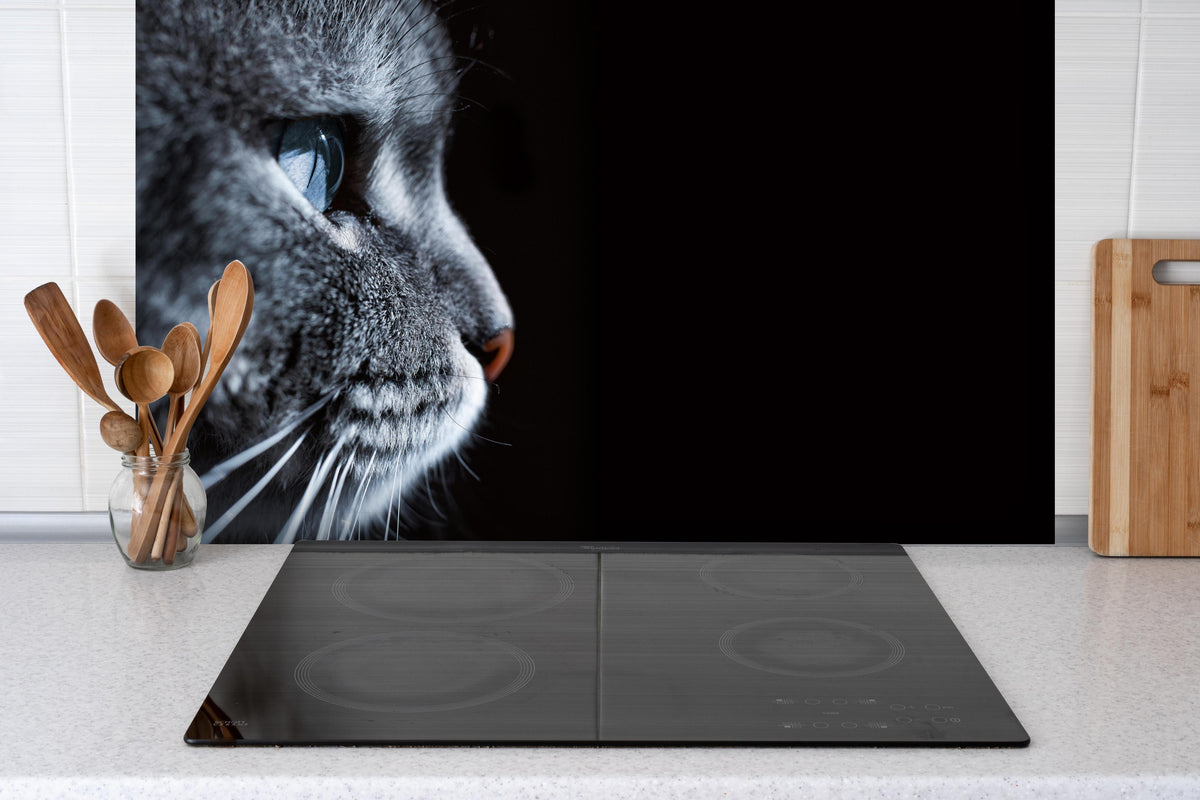 Spritzschutz - Seitliches Katzen-Portrait hinter einem Cerankochfeld zwischen Holz-Kochutensilien
