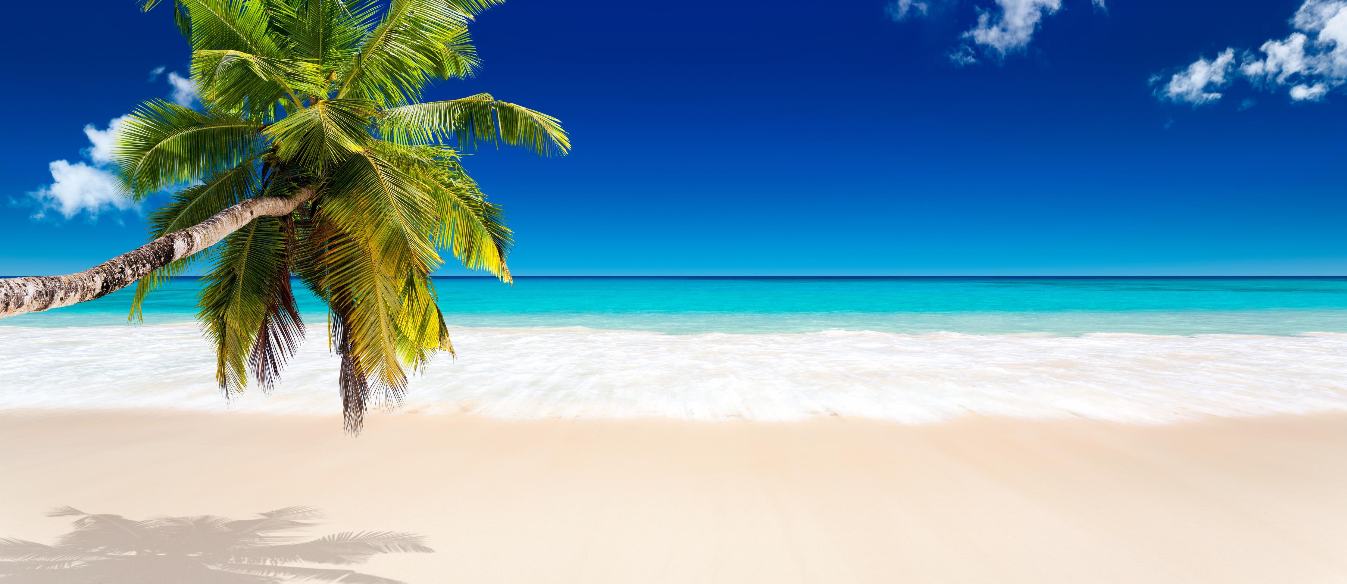 Spritzschutz-Seychellen Strand