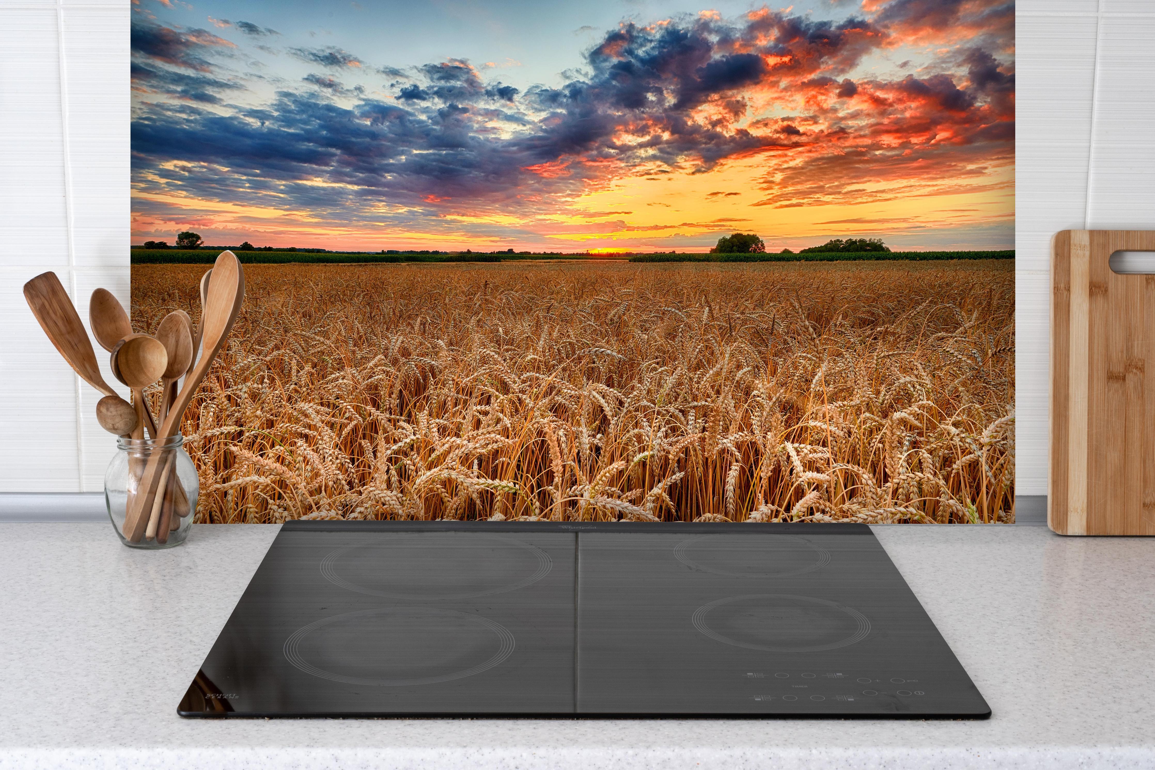 Spritzschutz - Sommer-Sonnenaufgang über Weizenfeldern in der Ukraine hinter einem Cerankochfeld zwischen Holz-Kochutensilien
