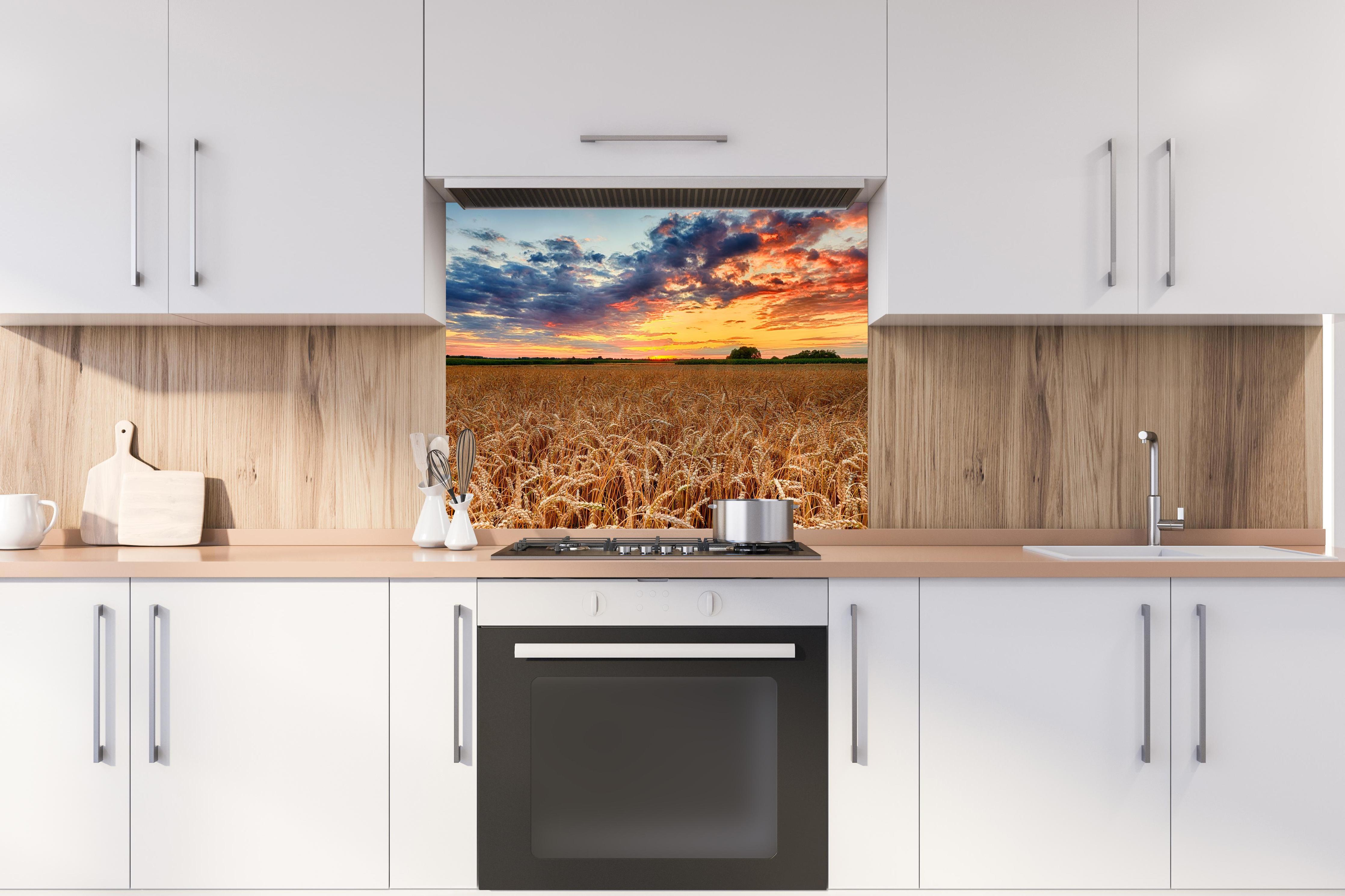 Spritzschutz - Sommer-Sonnenaufgang über Weizenfeldern in der Ukraine hinter stilvollem Gasherd unter Dunstabzugshaube