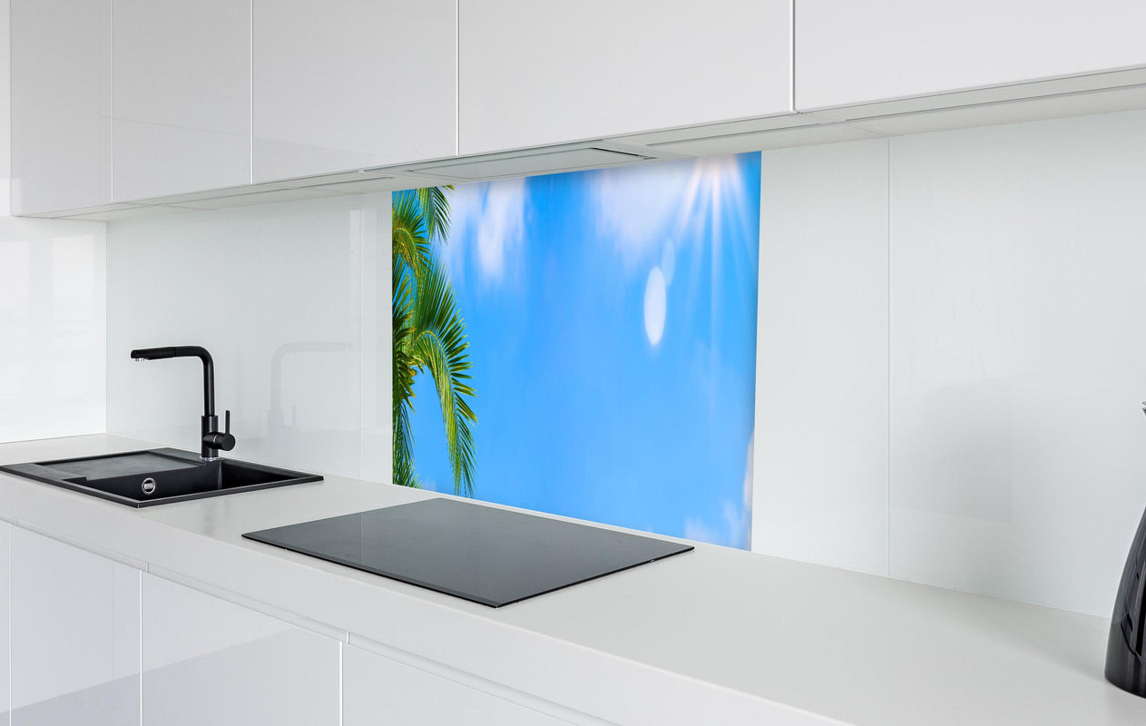 Spritzschutz - Sonne strahlt auf Palme  in weißer Hochglanz-Küche hinter einem Cerankochfeld