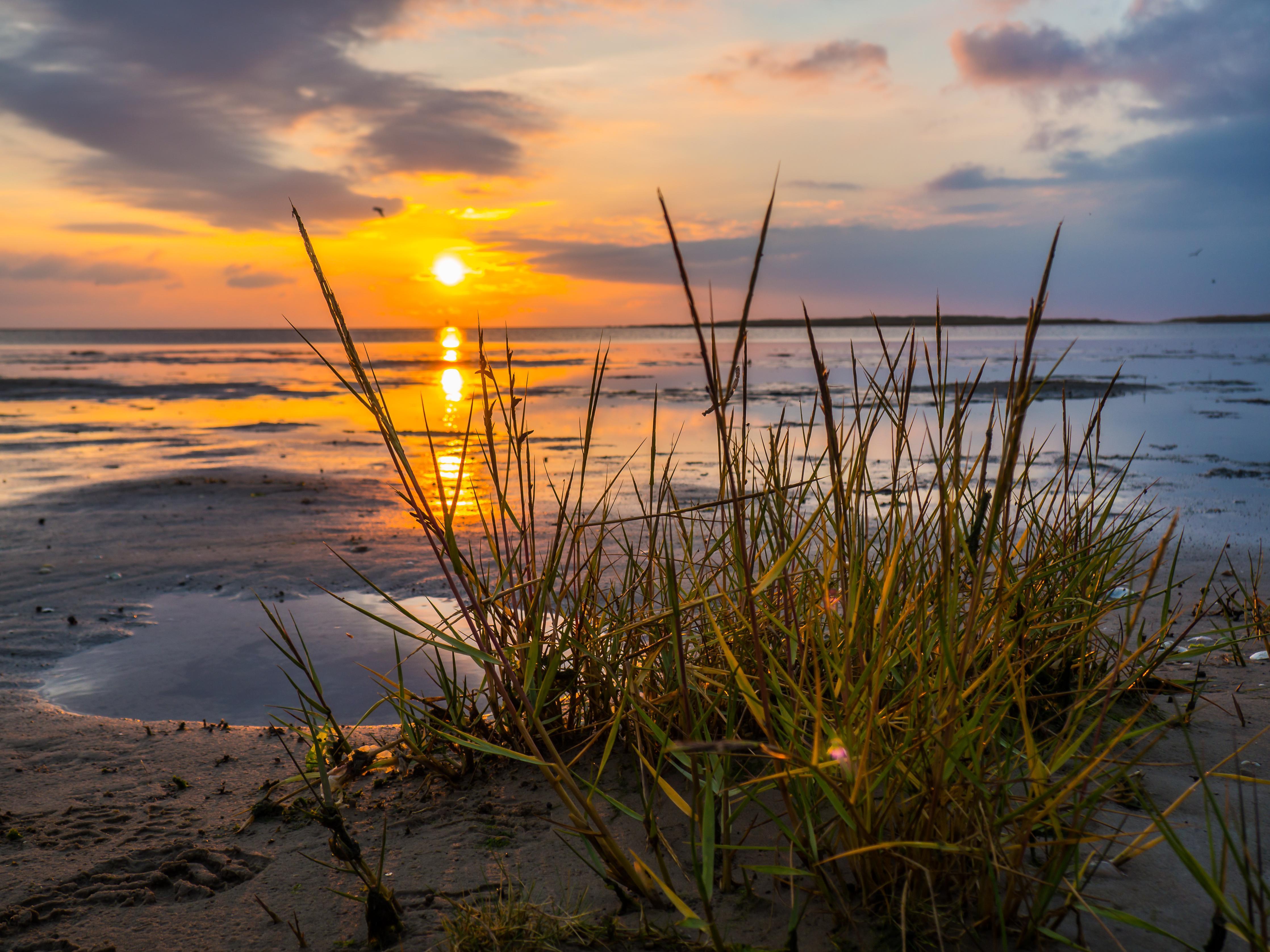 Spritzschutz-Sonnenuntergang im Wattenmeer an der Nordsee