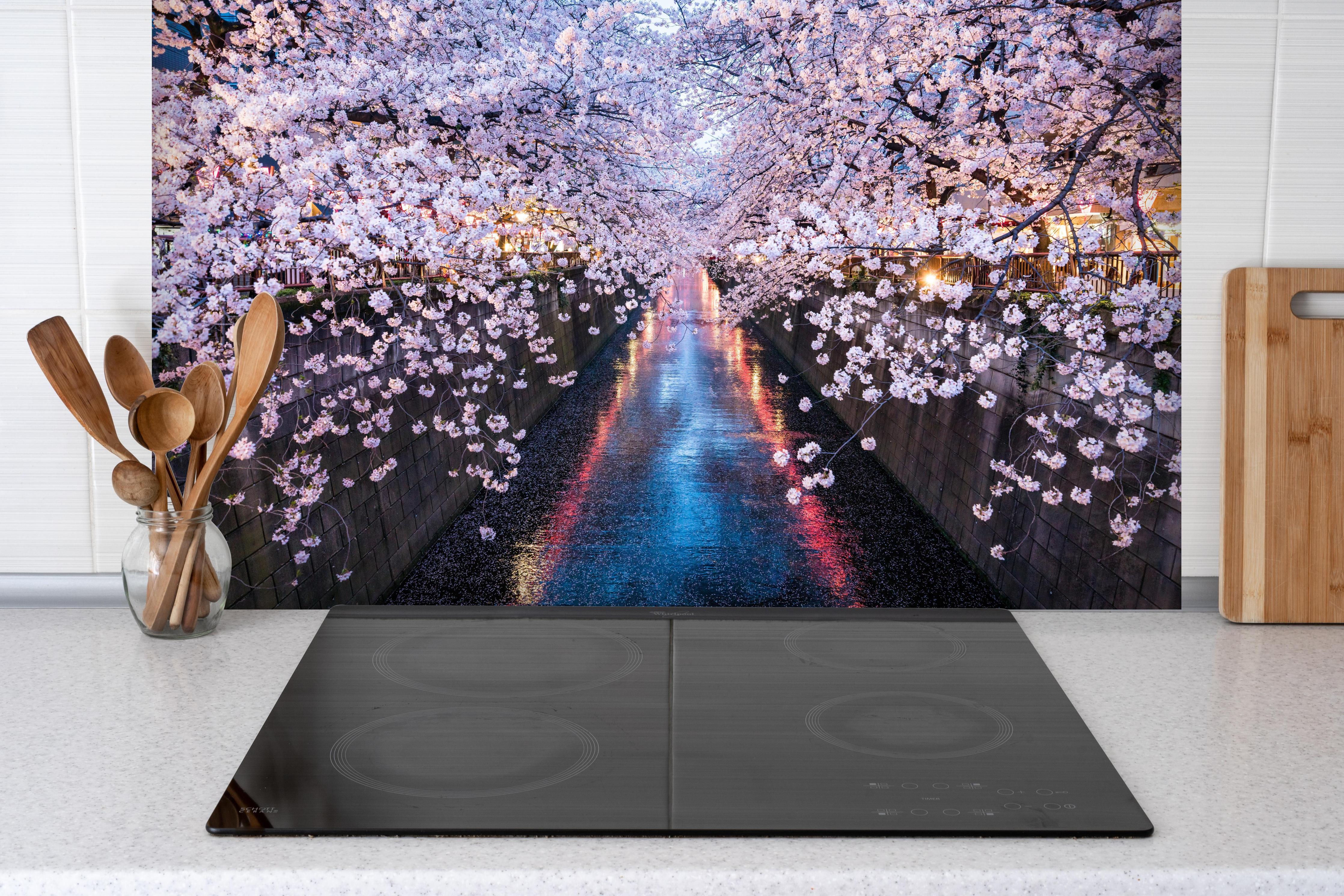Spritzschutz - Stadtfluss mit Kirschblütenbäumen hinter einem Cerankochfeld zwischen Holz-Kochutensilien
