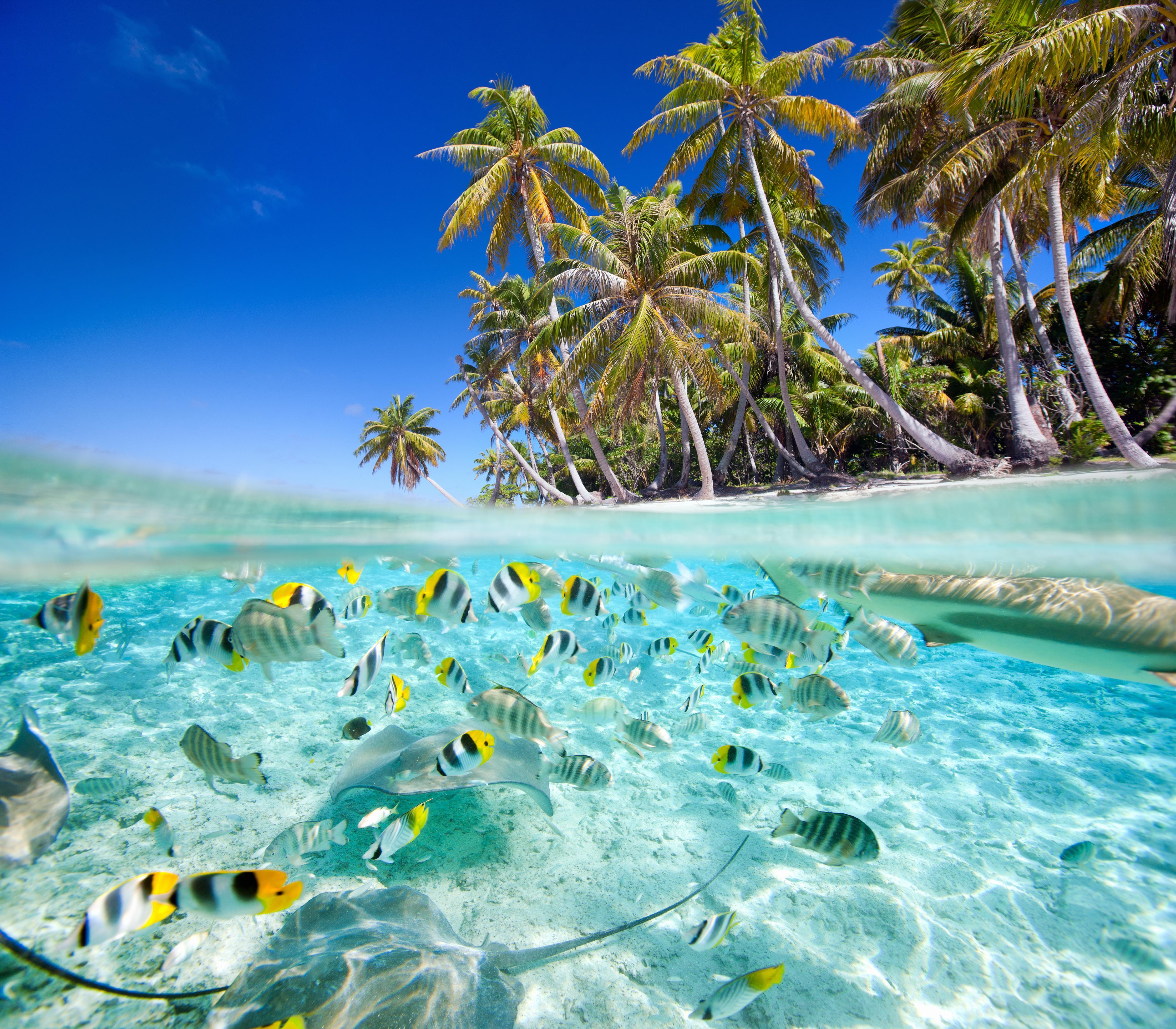 Spritzschutz-Tahiti - über und unter Wasser