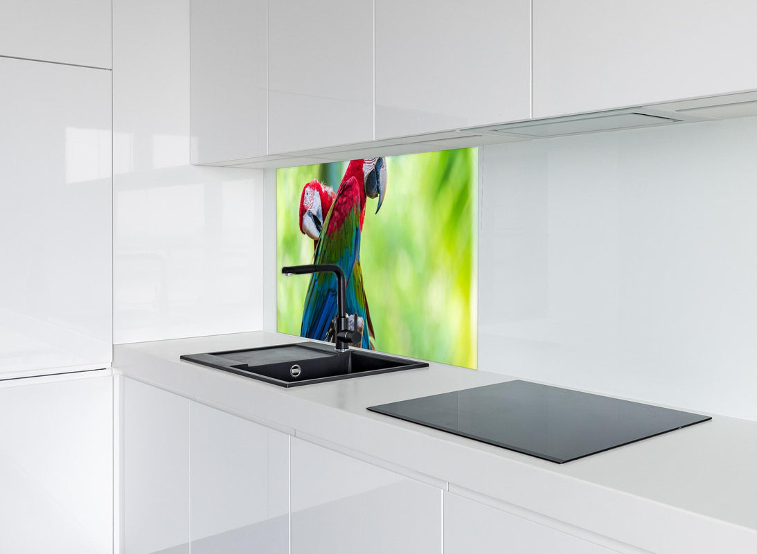 Spritzschutz - Verspieltes Papagei Paar auf Ast hinter modernem schwarz-matten Spülbecken in weißer Hochglanz-Küche
