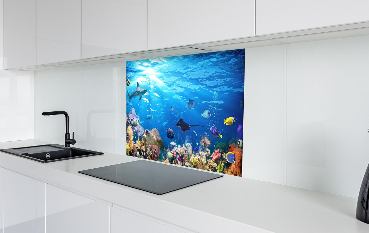 Spritzschutz - Vielfältige Unterwasserwelt  in weißer Hochglanz-Küche hinter einem Cerankochfeld