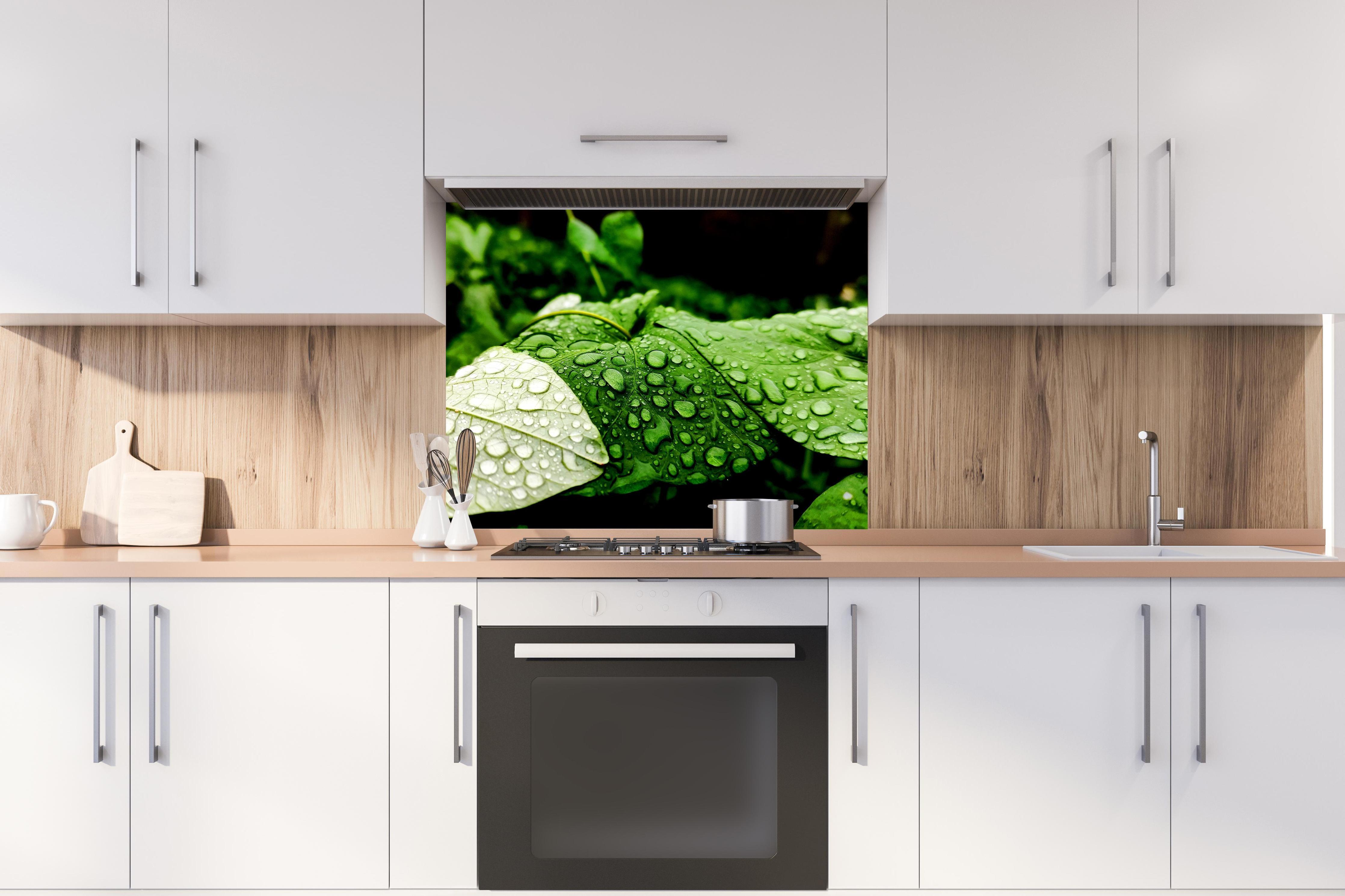 Spritzschutz - Wassertropfen auf einem Blatt hinter stilvollem Gasherd unter Dunstabzugshaube