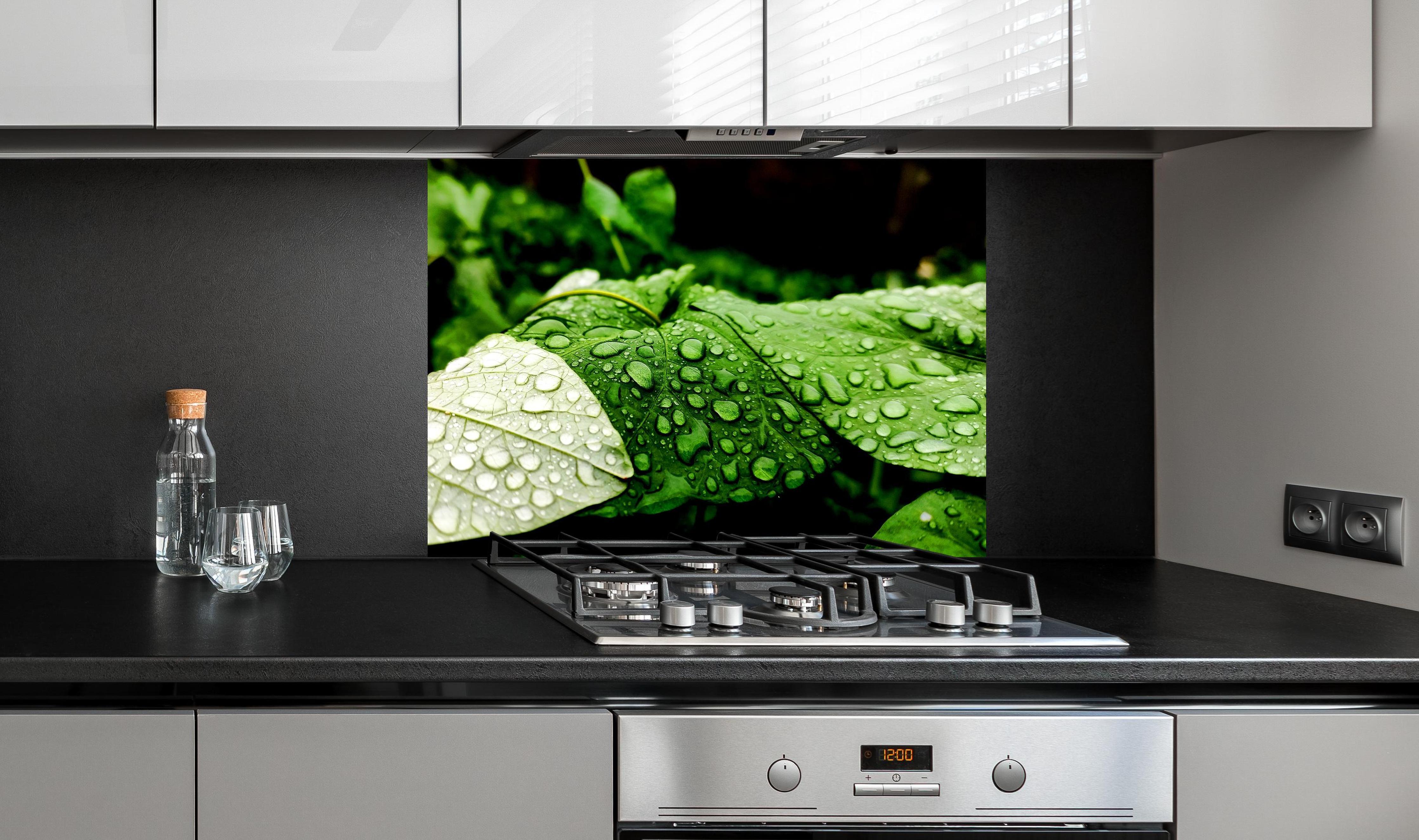 Spritzschutz - Wassertropfen auf einem Blatt an edler Anthrazit-Wand hinter silbernem Gasherd