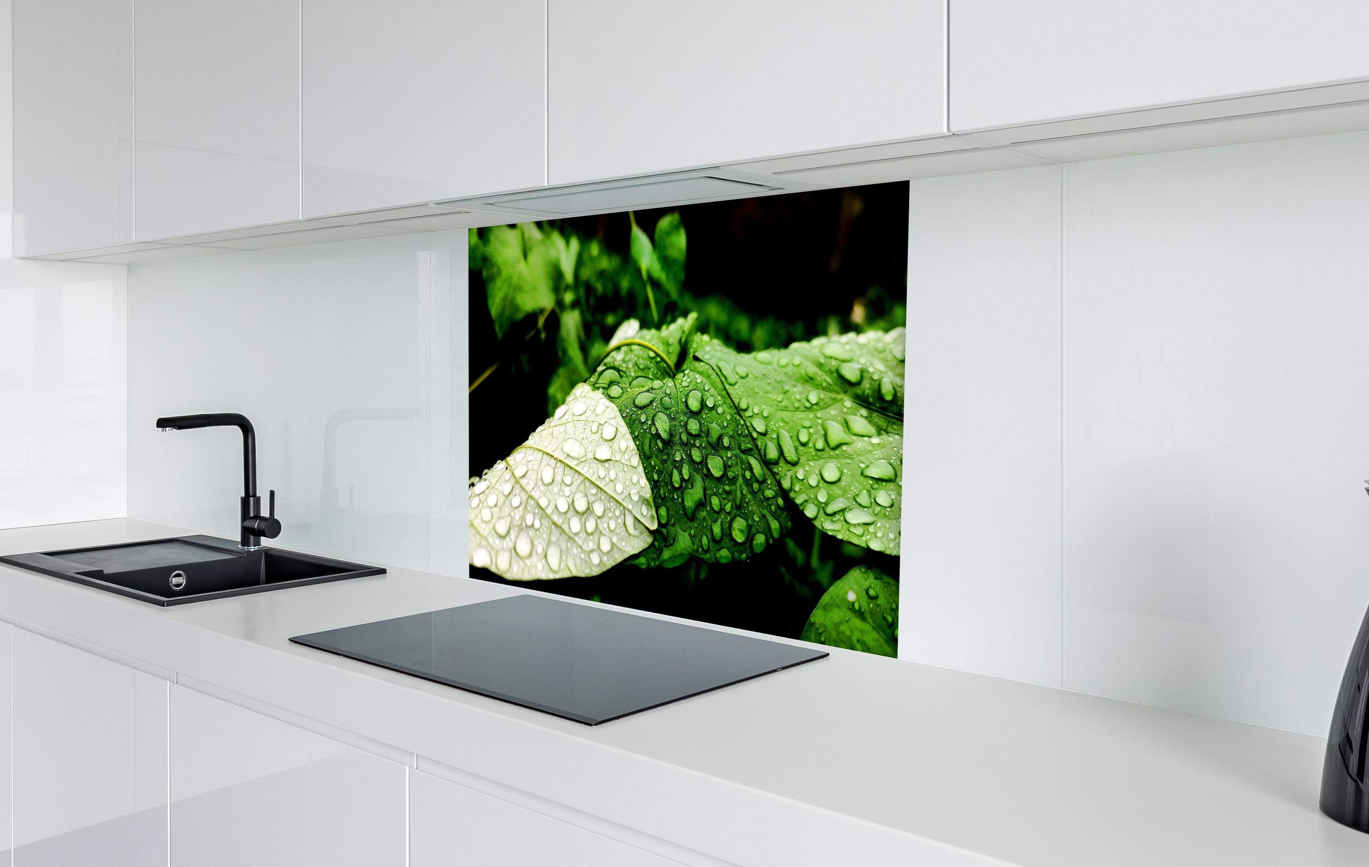 Spritzschutz - Wassertropfen auf einem Blatt  in weißer Hochglanz-Küche hinter einem Cerankochfeld