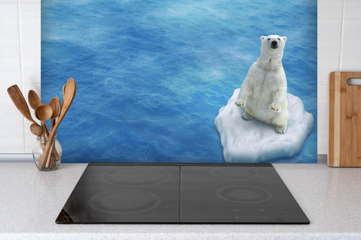 Spritzschutz - Weißer Eisbär treibend auf Eisscholle hinter einem Cerankochfeld zwischen Holz-Kochutensilien
