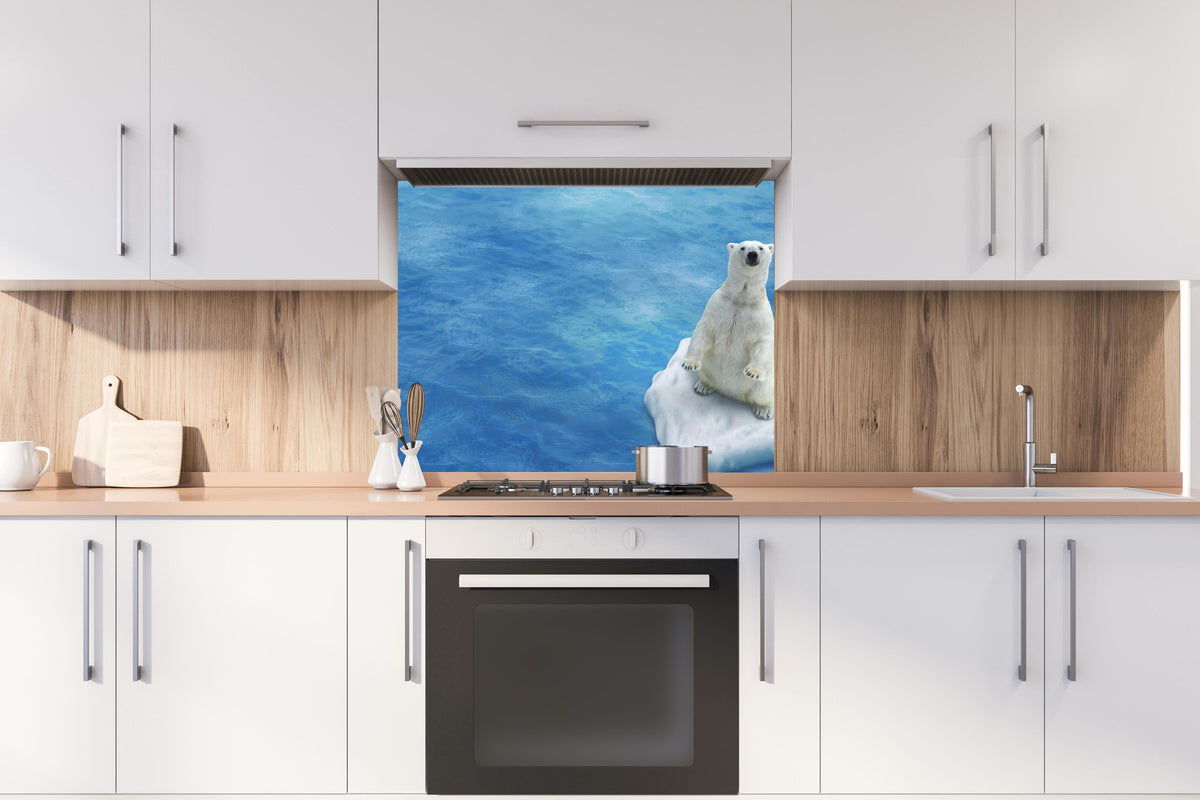 Spritzschutz - Weißer Eisbär treibend auf Eisscholle hinter stilvollem Gasherd unter Dunstabzugshaube