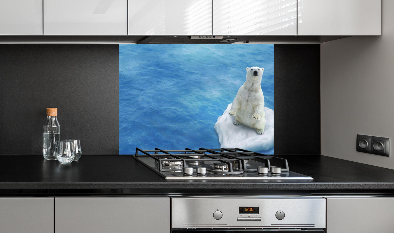 Spritzschutz - Weißer Eisbär treibend auf Eisscholle an edler Anthrazit-Wand hinter silbernem Gasherd