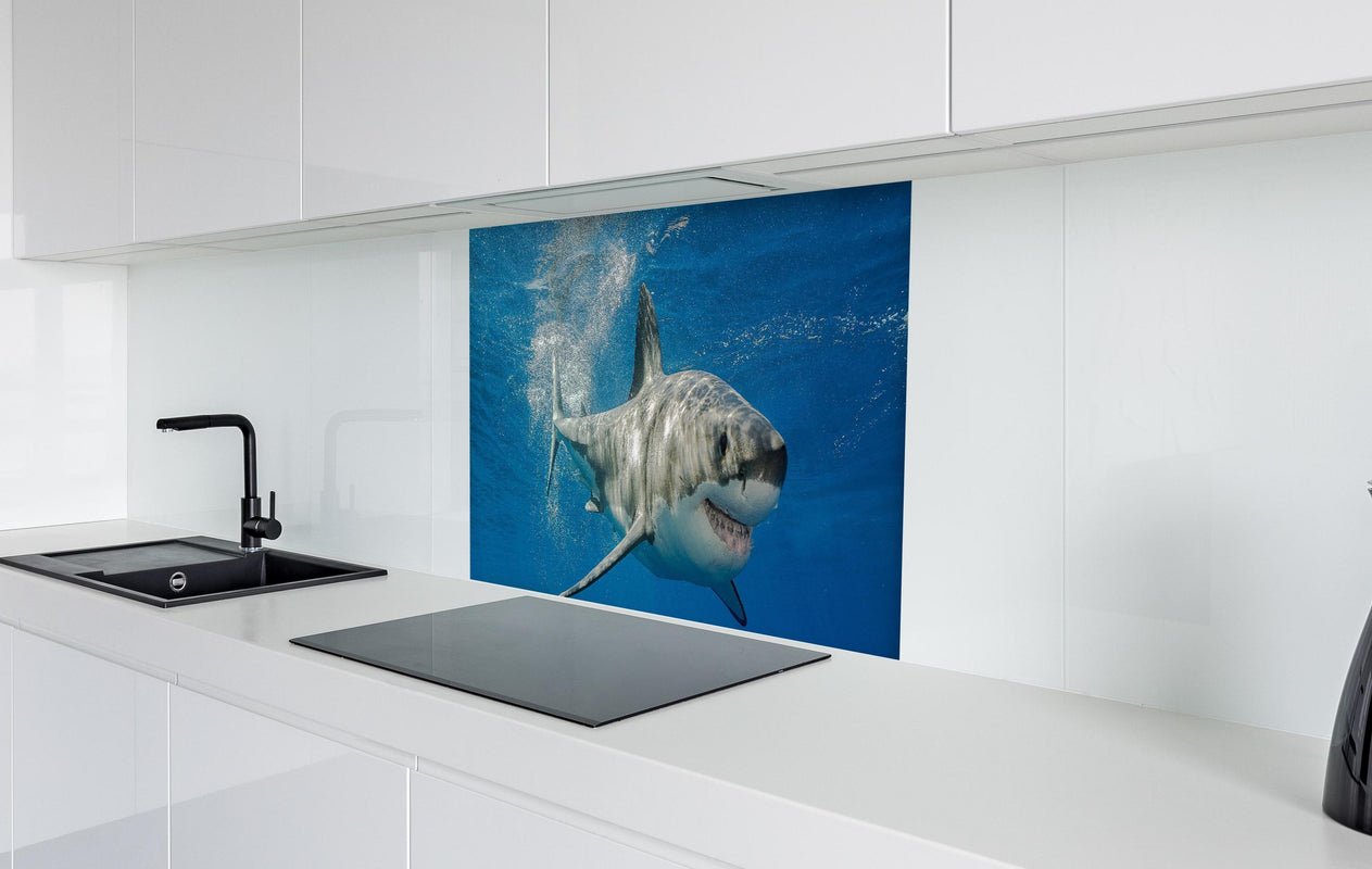 Spritzschutz - Weißer Hai in Unterwasseransicht  in weißer Hochglanz-Küche hinter einem Cerankochfeld
