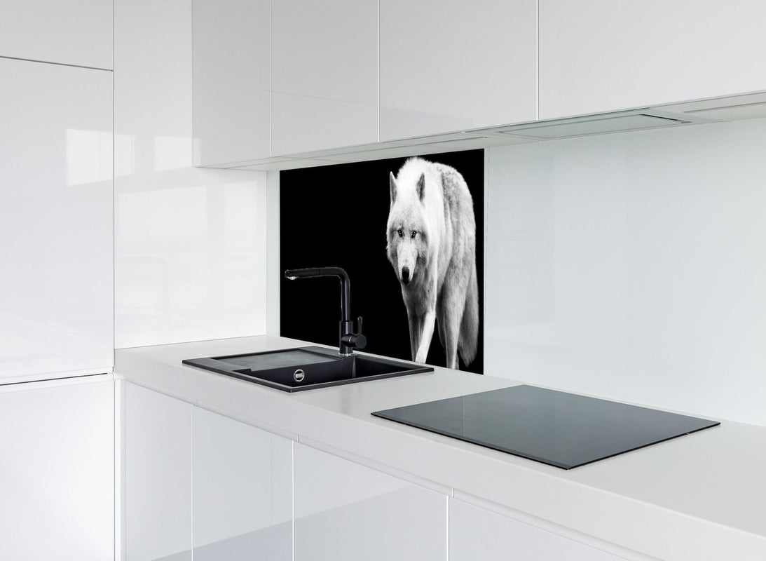 Spritzschutz - Weißer Wolf mit schwarzem Hintergrund hinter modernem schwarz-matten Spülbecken in weißer Hochglanz-Küche