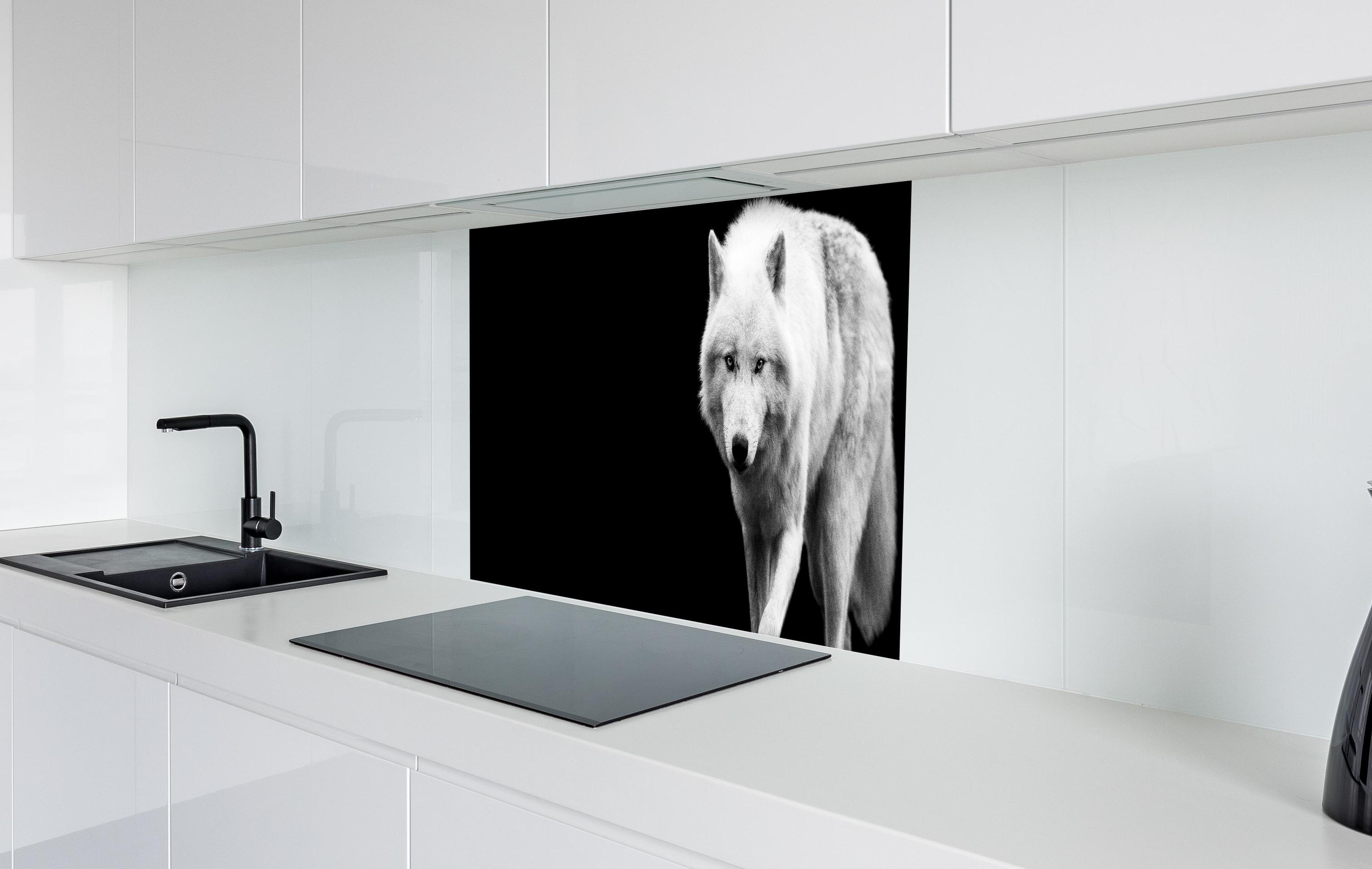 Spritzschutz - Weißer Wolf mit schwarzem Hintergrund  in weißer Hochglanz-Küche hinter einem Cerankochfeld