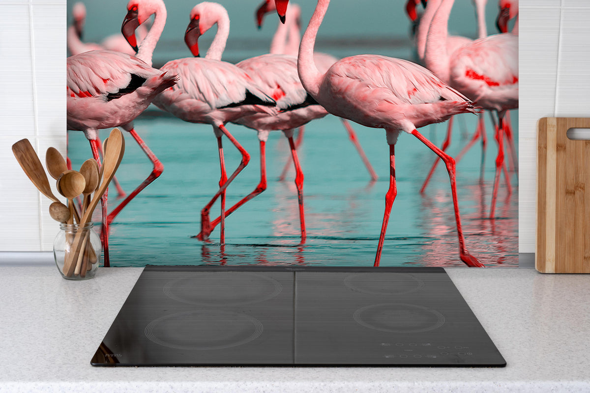 Spritzschutz - Wilde Flamingo auf dem Wasser  hinter einem Cerankochfeld zwischen Holz-Kochutensilien
