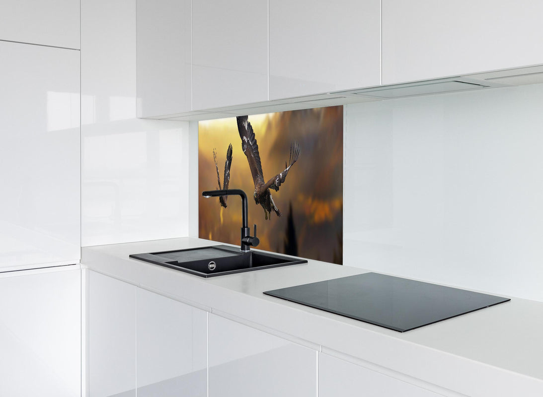 Spritzschutz - prachtvolle Steinadler im Flug hinter modernem schwarz-matten Spülbecken in weißer Hochglanz-Küche