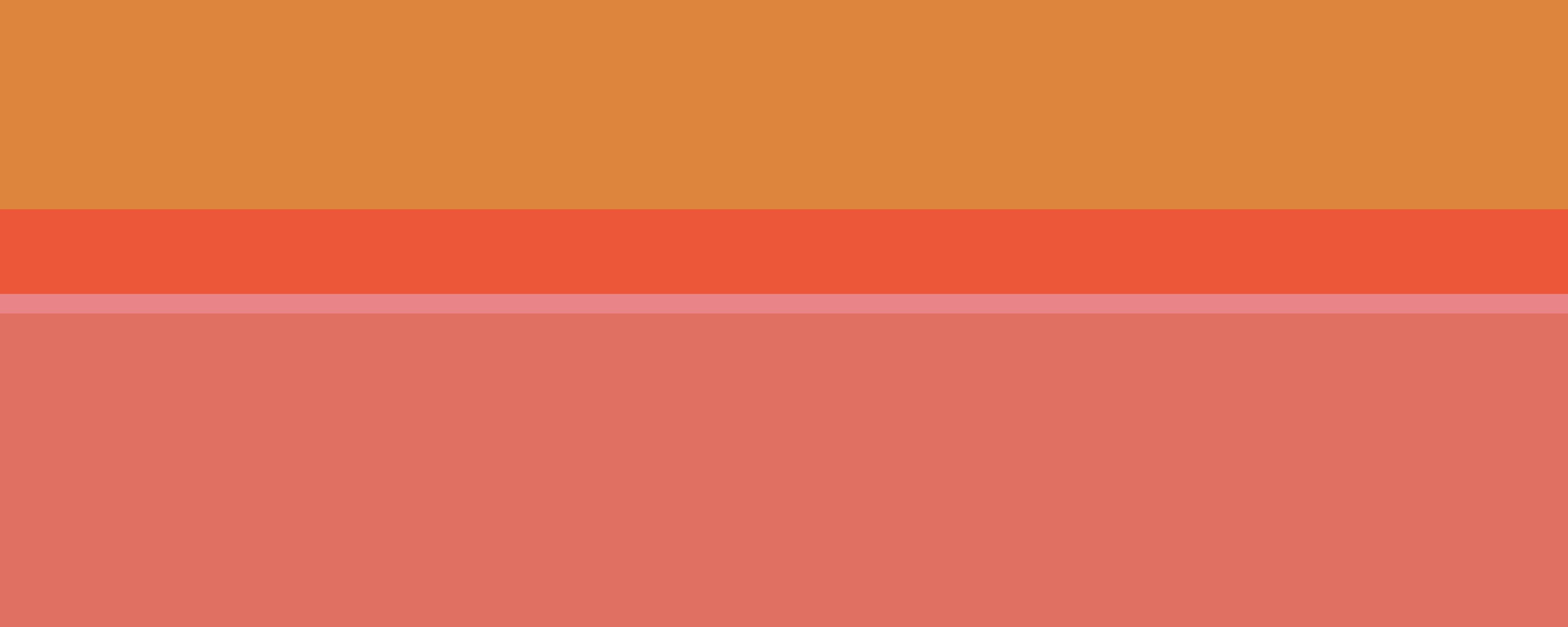 Spritzschutz-The Oranges - Horizontal - Salmon