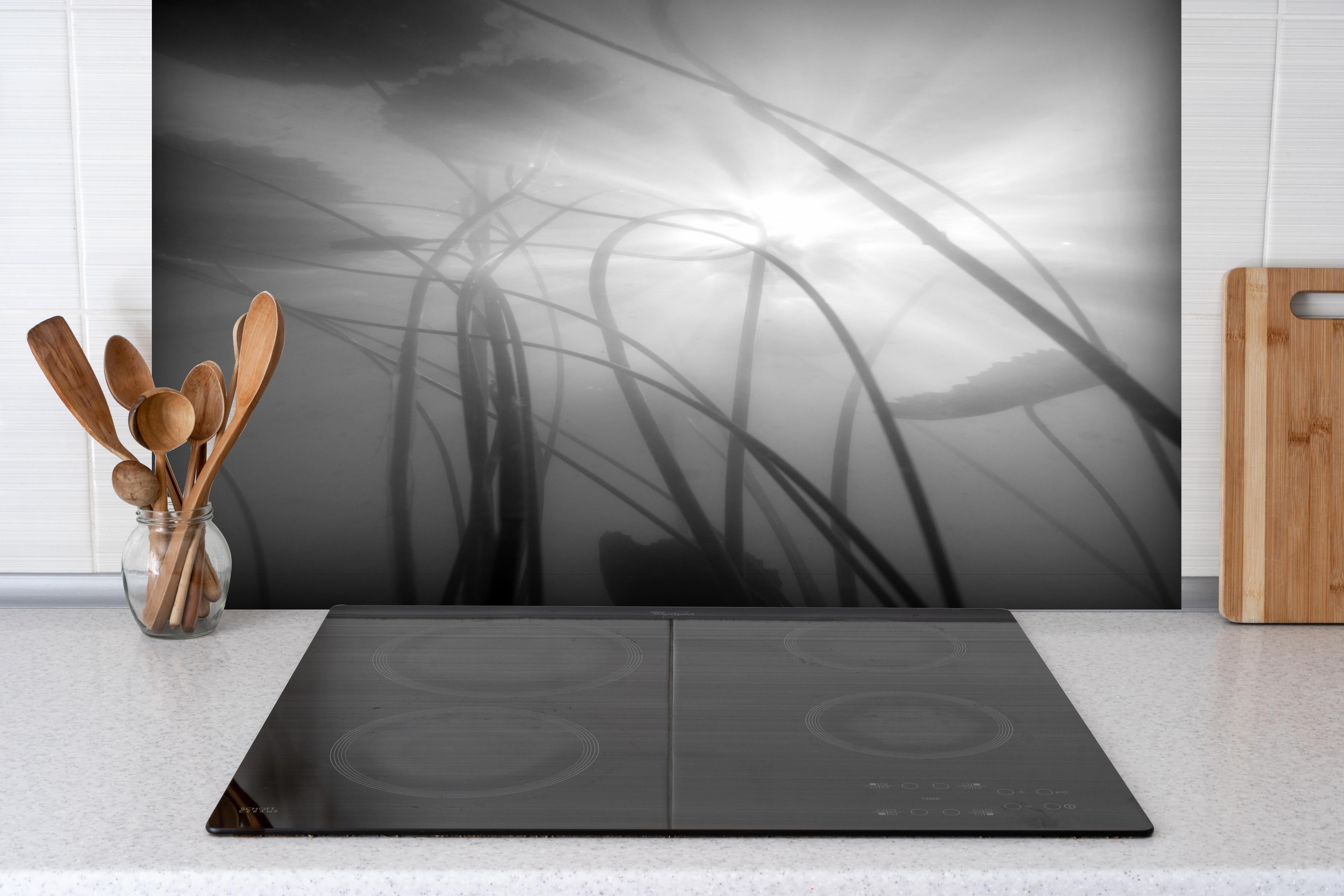 Spritzschutz - Tranquile Wasserlilien in Nebel und Monochrom hinter einem Cerankochfeld zwischen Holz-Kochutensilien
