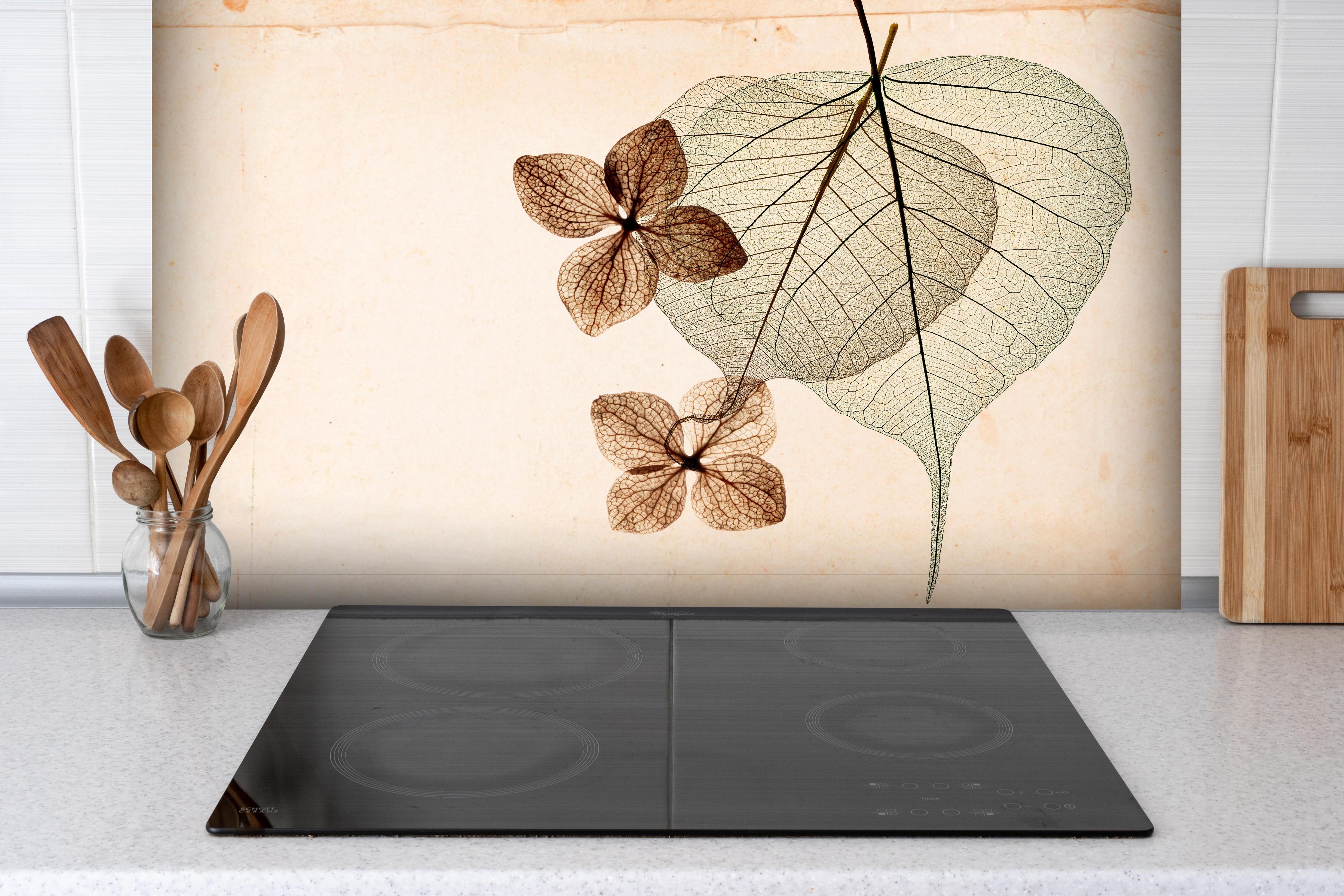 Spritzschutz - Transparentes Blatt mit sichtbaren Adern hinter einem Cerankochfeld zwischen Holz-Kochutensilien
