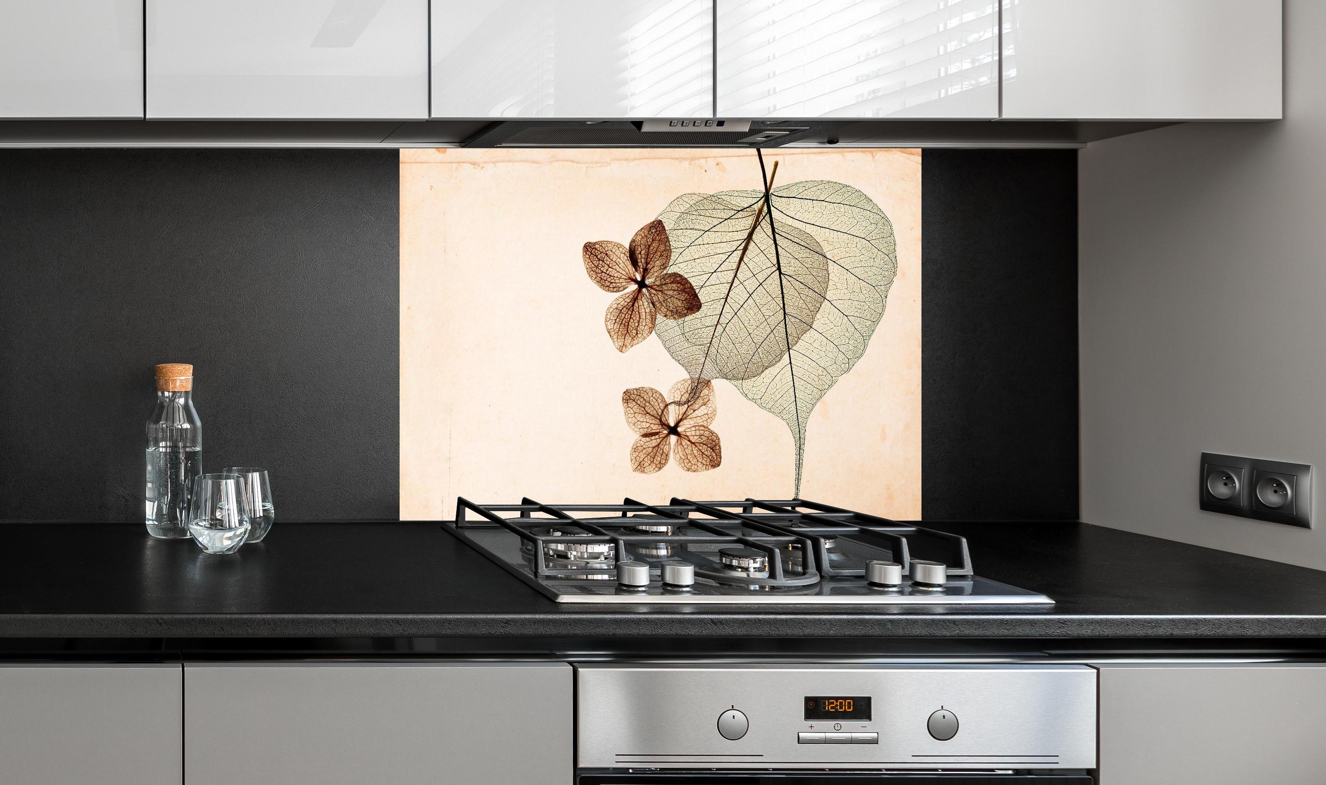 Spritzschutz - Transparentes Blatt mit sichtbaren Adern hinter einem Cerankochfeld zwischen Holz-Kochutensilien
