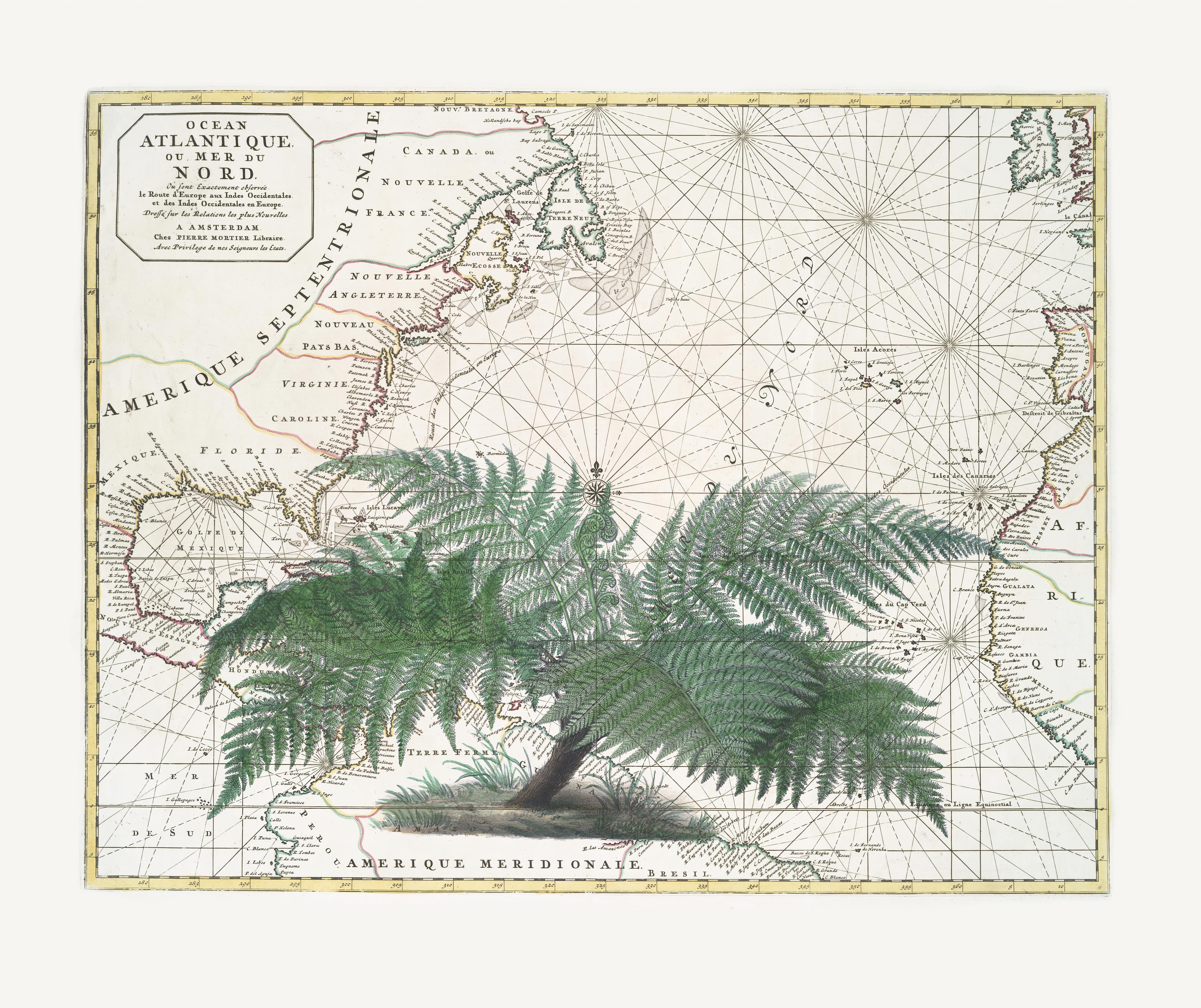 Spritzschutz-Tropical Empire No4