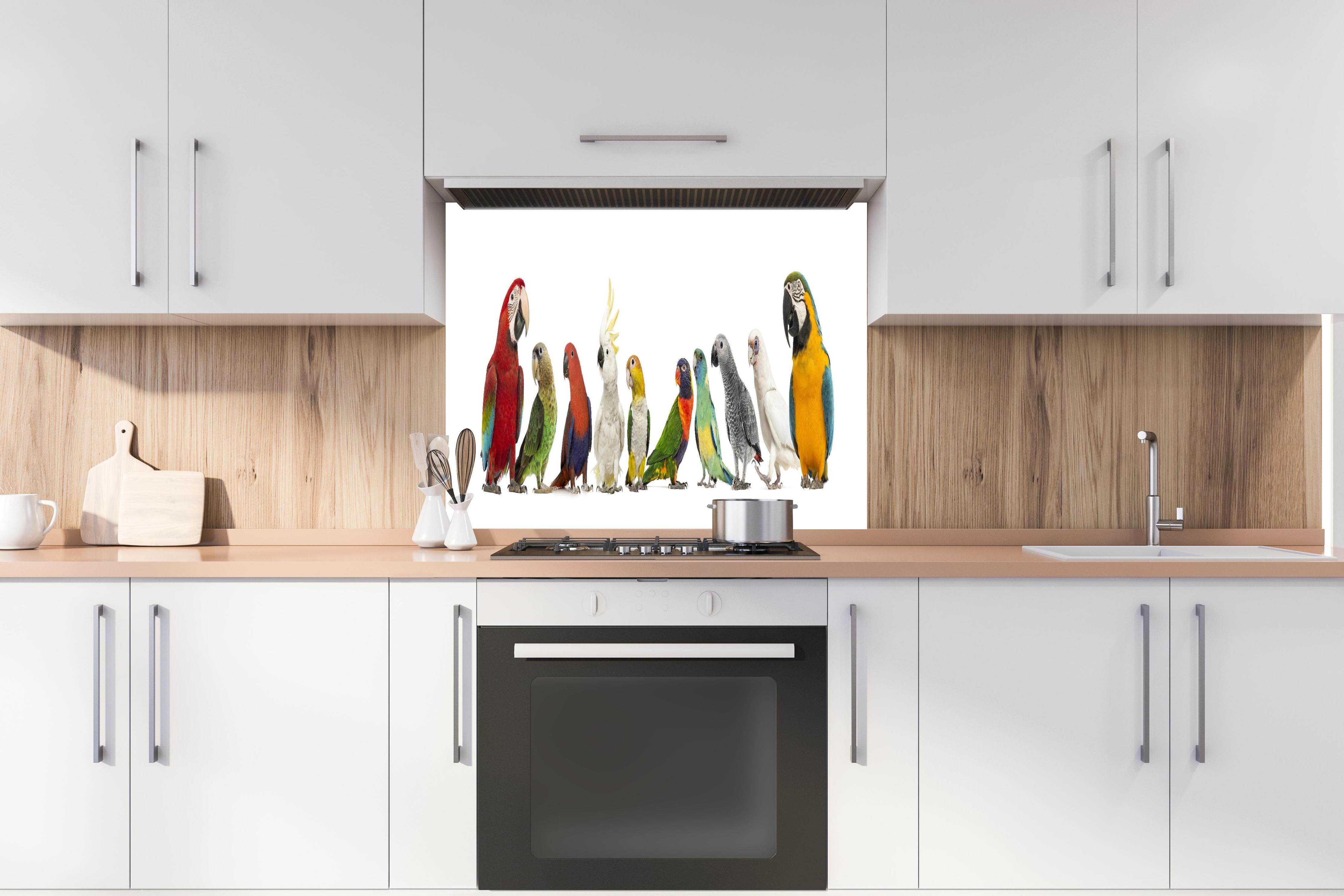 Spritzschutz - Tropische Papageien - Exotisch hinter einem Cerankochfeld zwischen Holz-Kochutensilien
