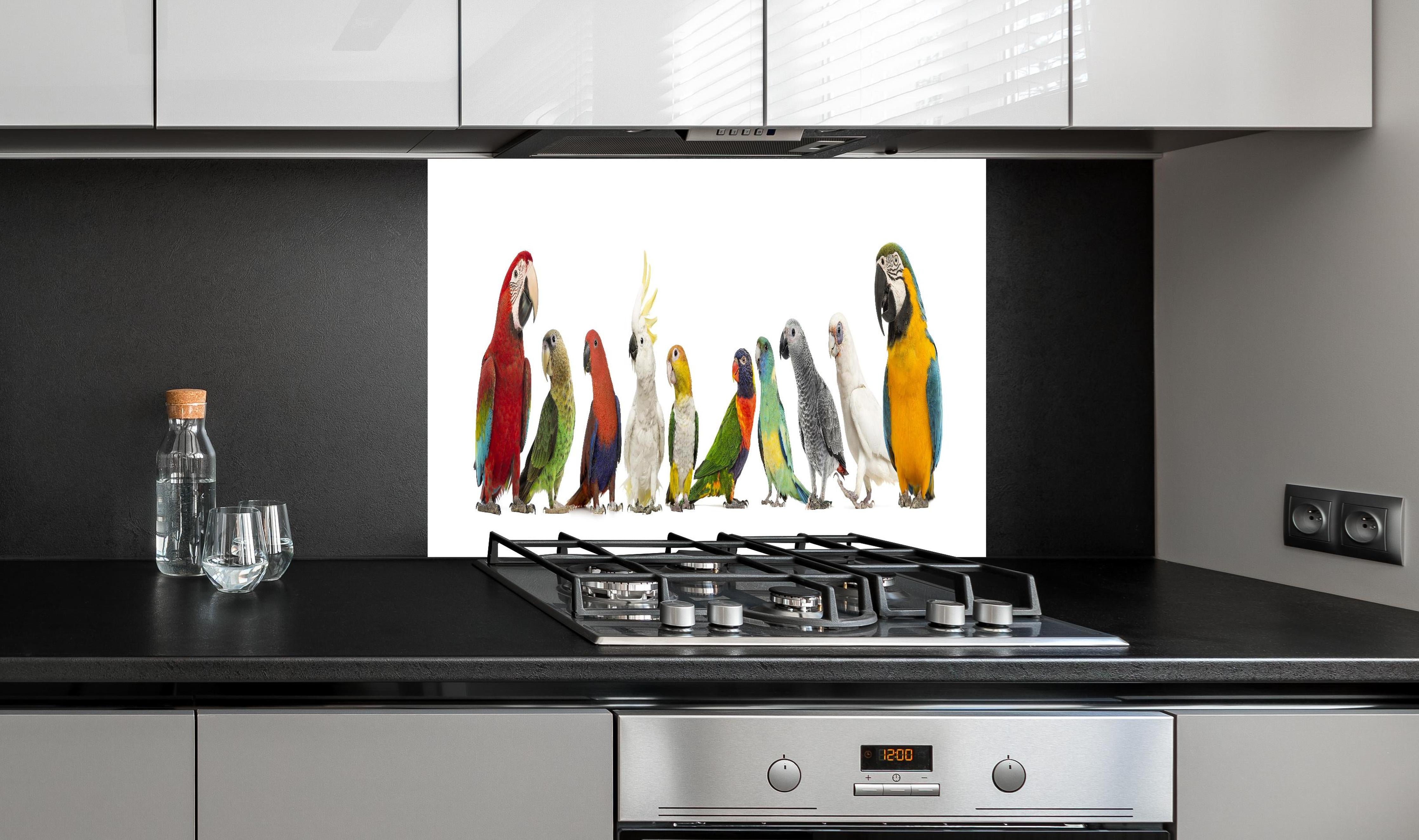 Spritzschutz - Tropische Papageien - Exotisch hinter einem Cerankochfeld zwischen Holz-Kochutensilien
