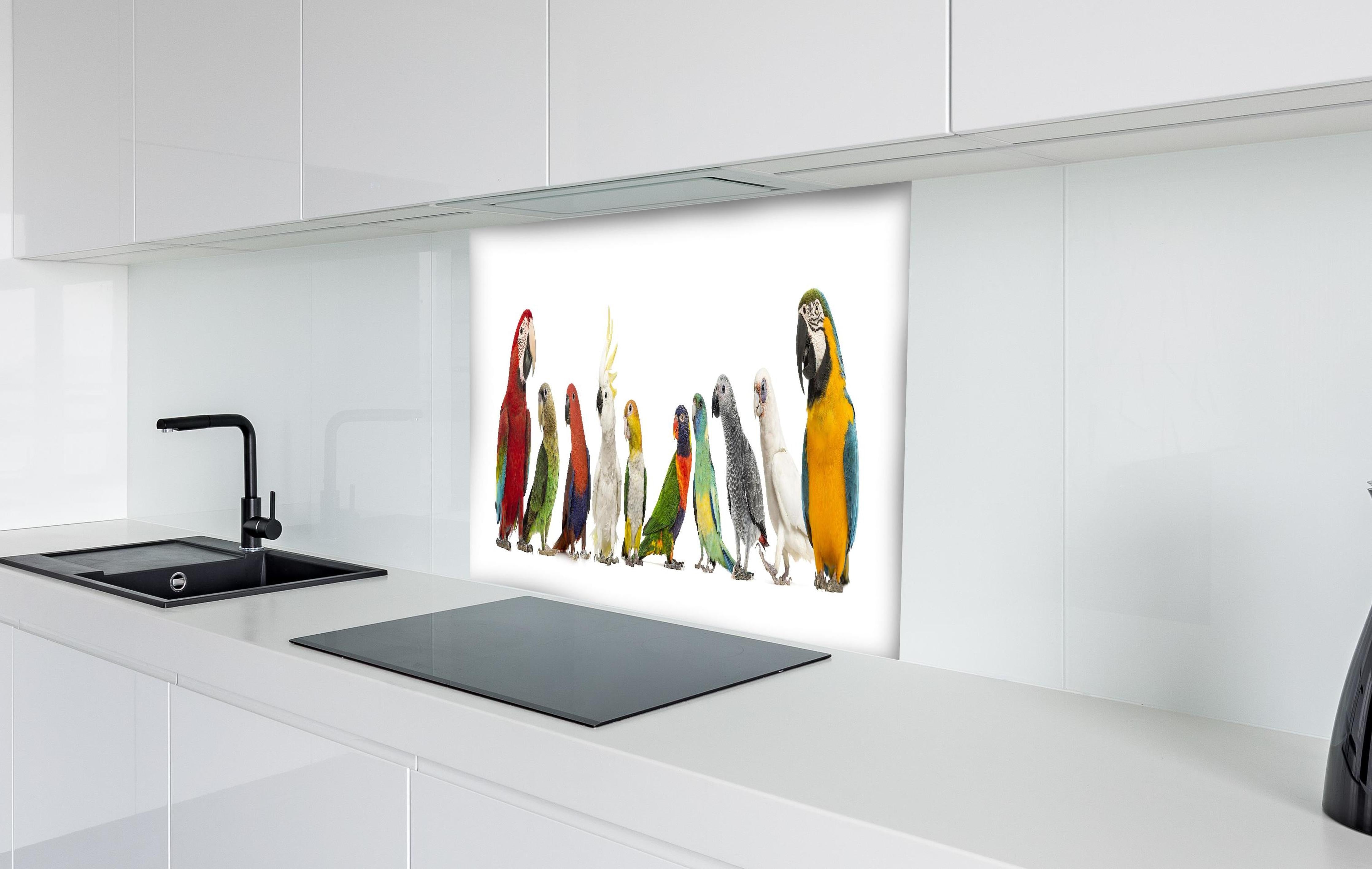 Spritzschutz - Tropische Papageien - Exotisch hinter einem Cerankochfeld zwischen Holz-Kochutensilien
