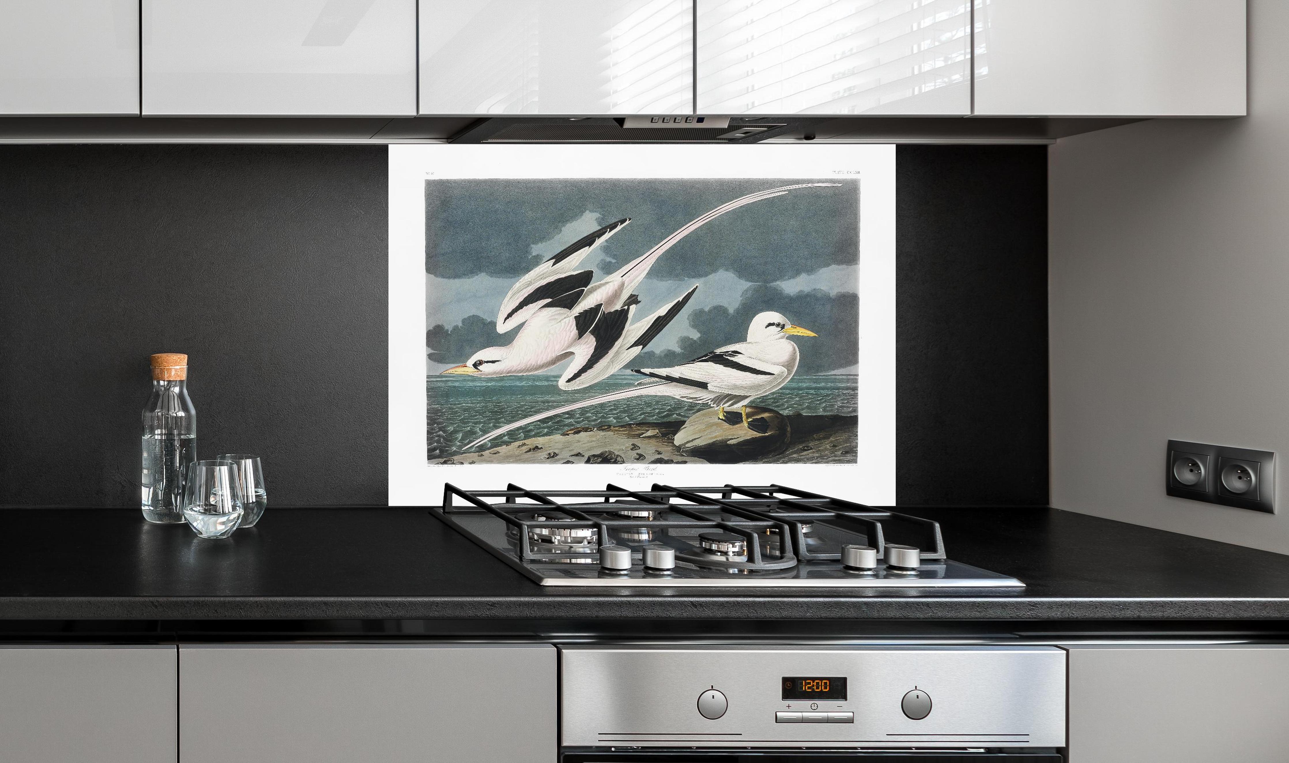 Spritzschutz - Tropische Vögel - John James Audubon hinter einem Cerankochfeld zwischen Holz-Kochutensilien
