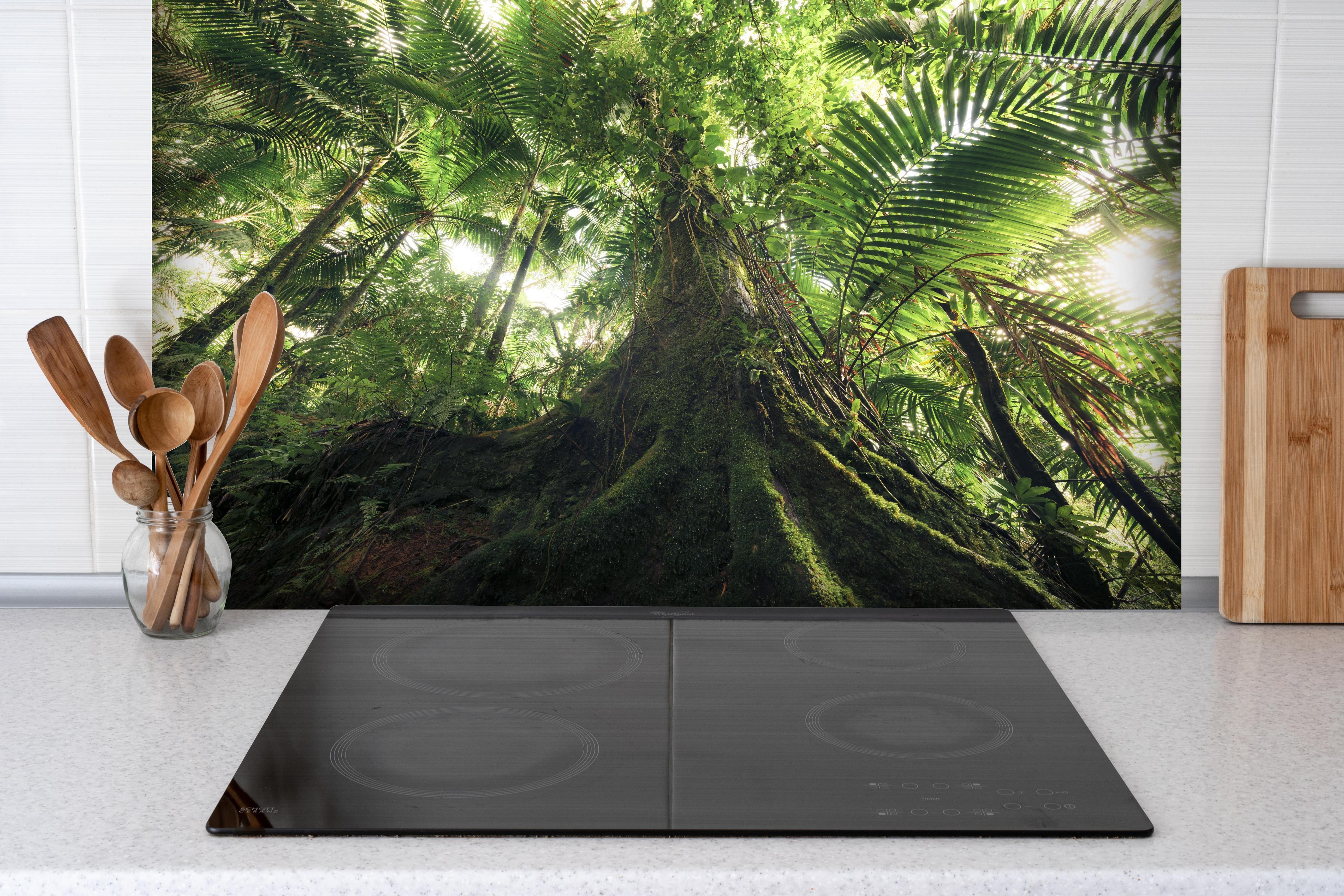 Spritzschutz - Tropischer Dschungel Wald hinter einem Cerankochfeld zwischen Holz-Kochutensilien
