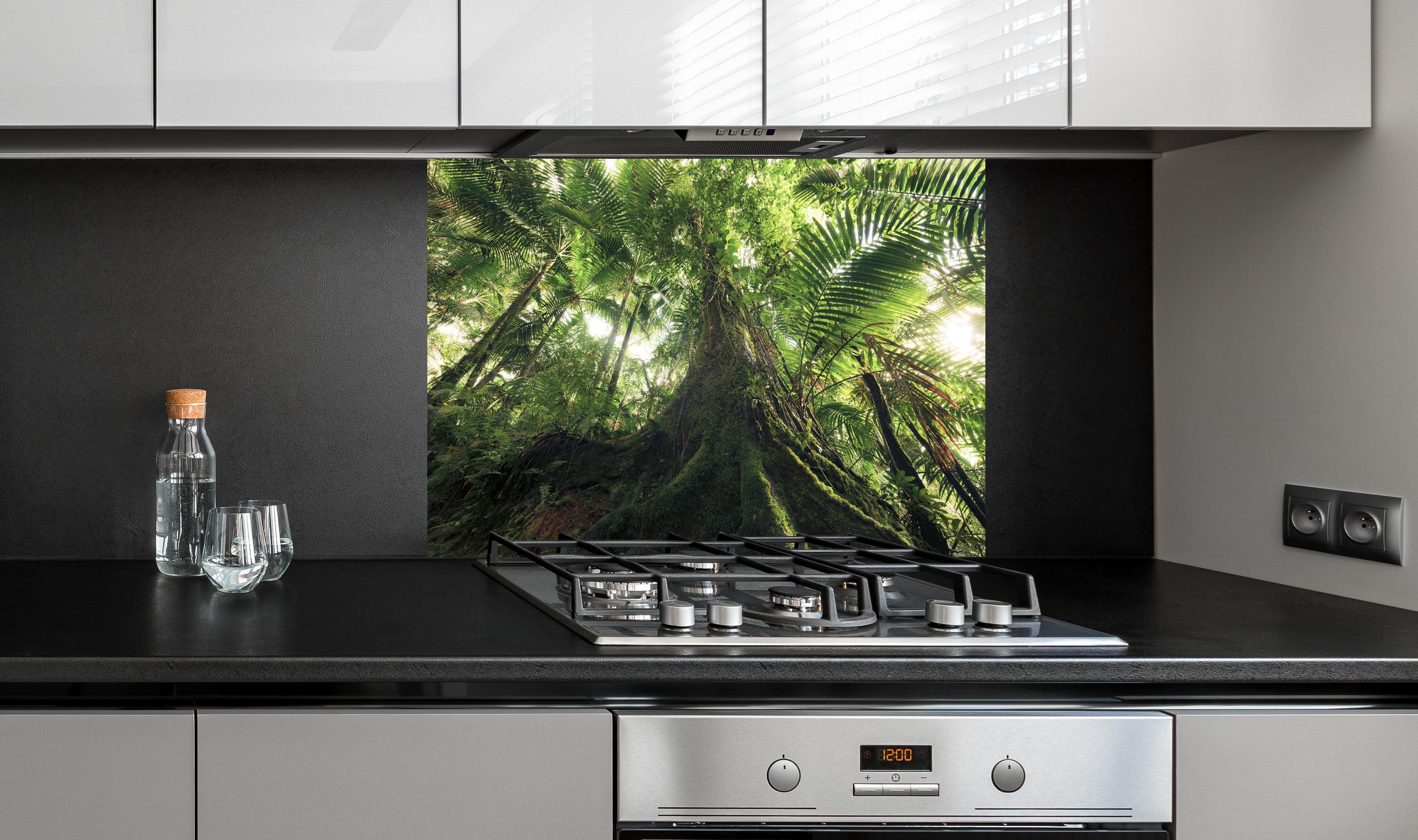 Spritzschutz - Tropischer Dschungel Wald hinter einem Cerankochfeld zwischen Holz-Kochutensilien
