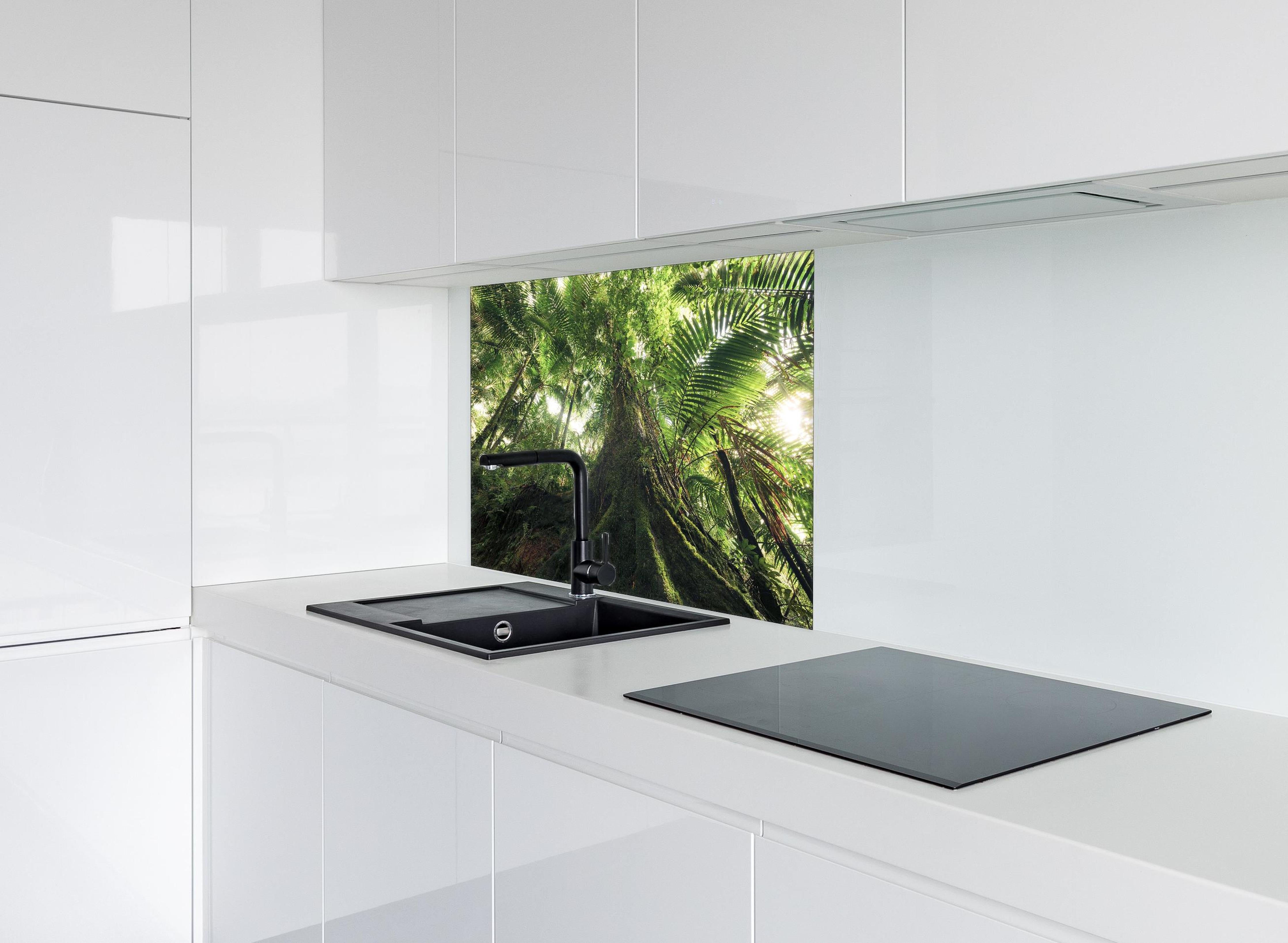 Spritzschutz - Tropischer Dschungel Wald hinter einem Cerankochfeld zwischen Holz-Kochutensilien
