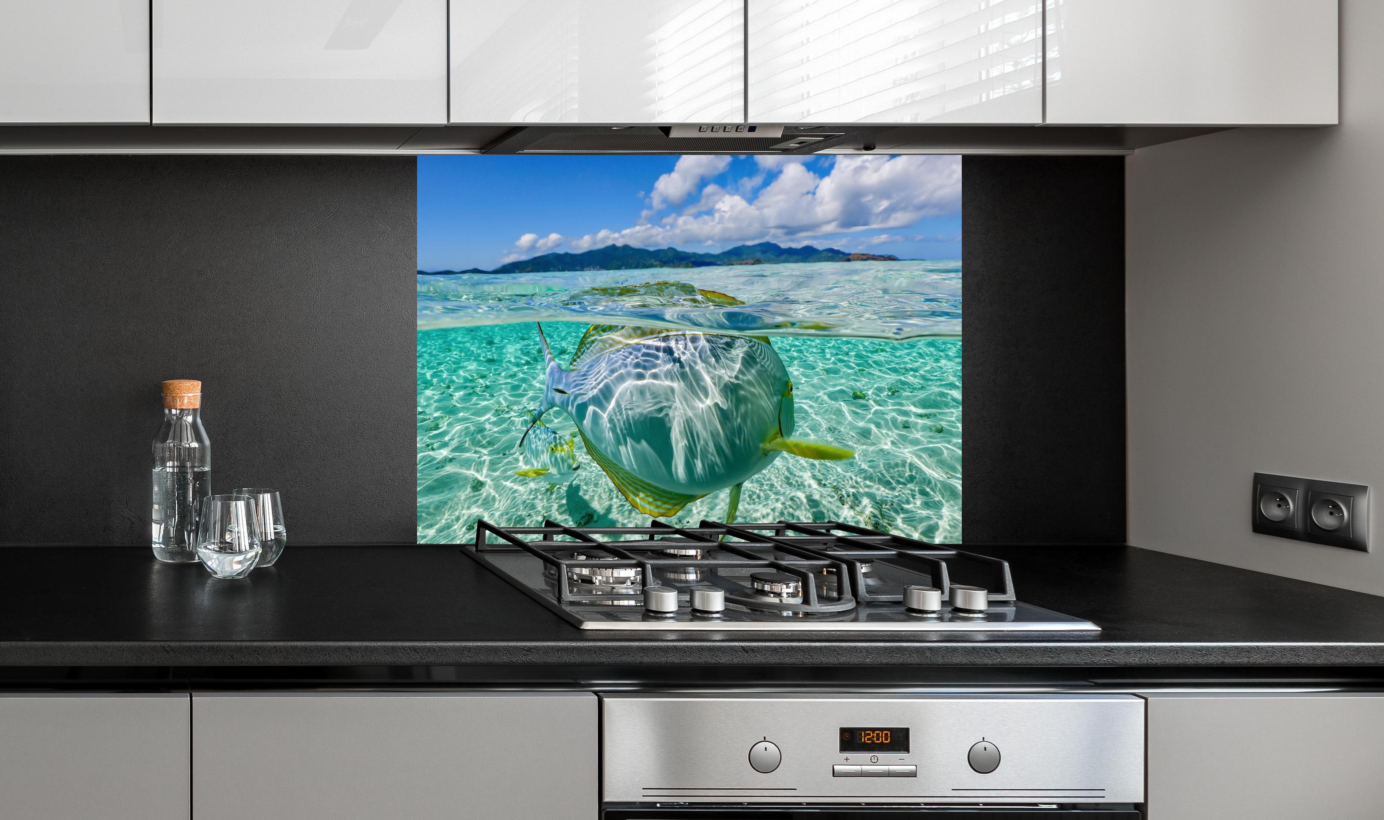 Spritzschutz - Tropischer Fisch - Unterwasserwelt hinter einem Cerankochfeld zwischen Holz-Kochutensilien
