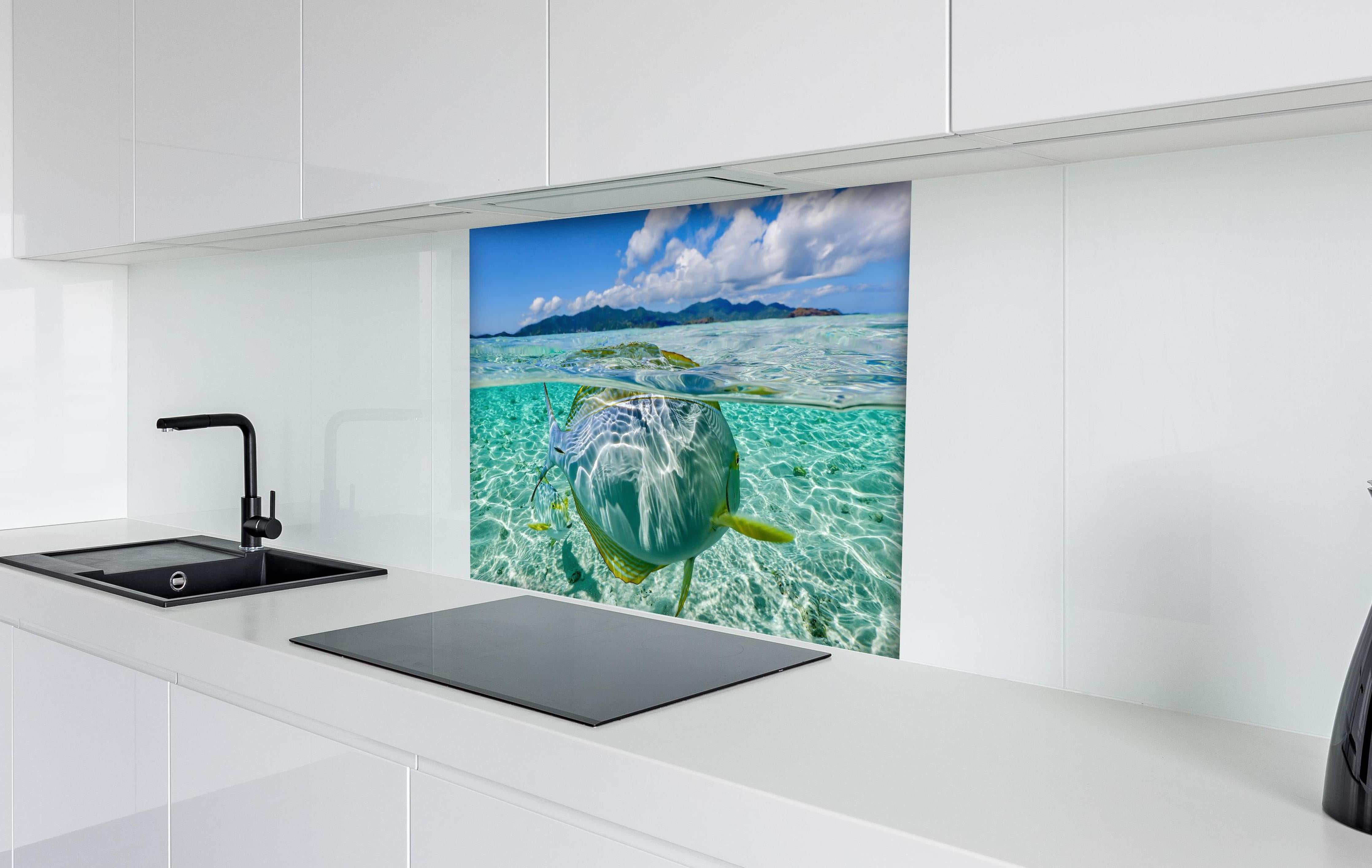 Spritzschutz - Tropischer Fisch - Unterwasserwelt hinter einem Cerankochfeld zwischen Holz-Kochutensilien
