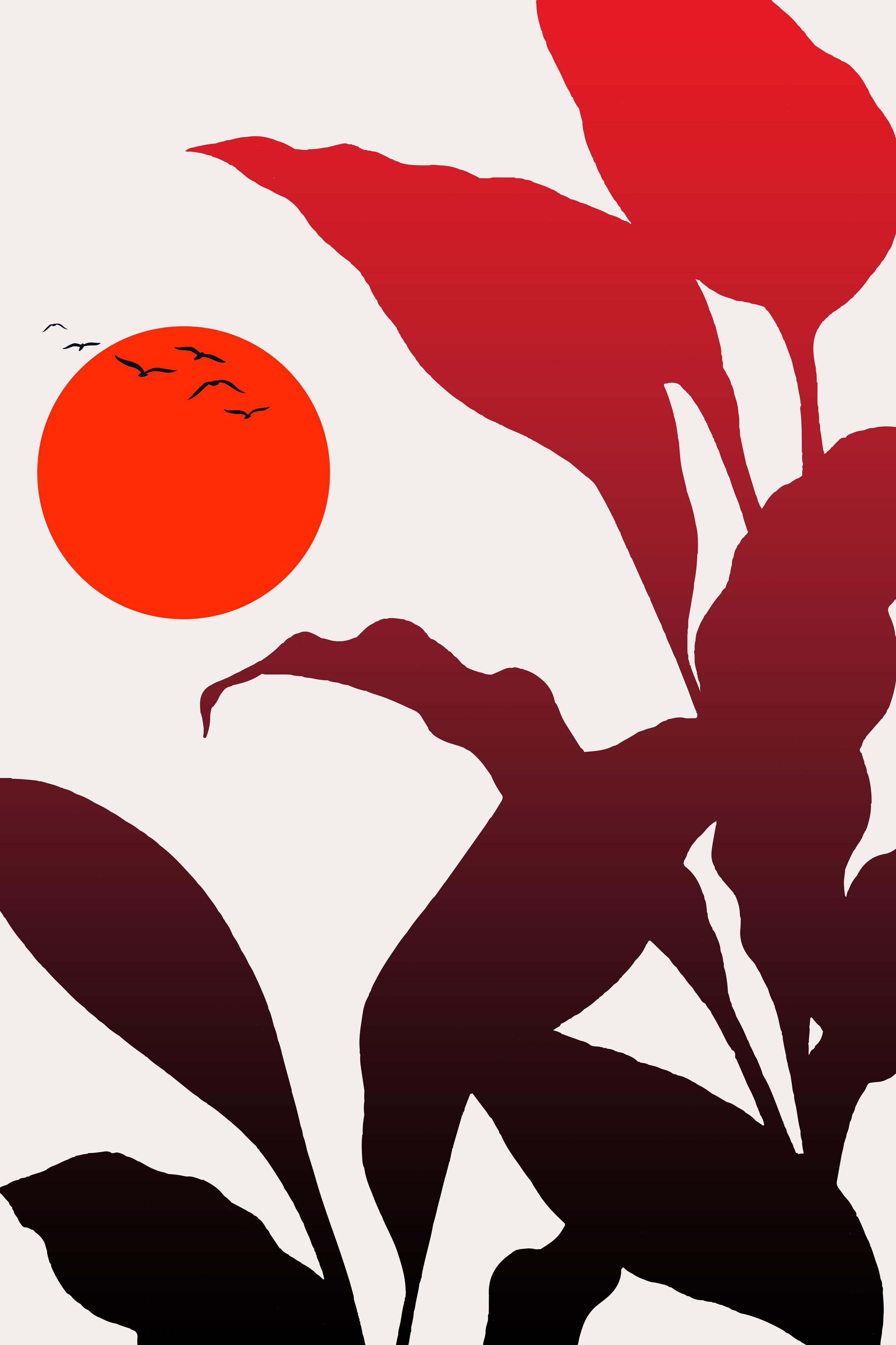 Spritzschutz-Tropischer Sonnenuntergang 