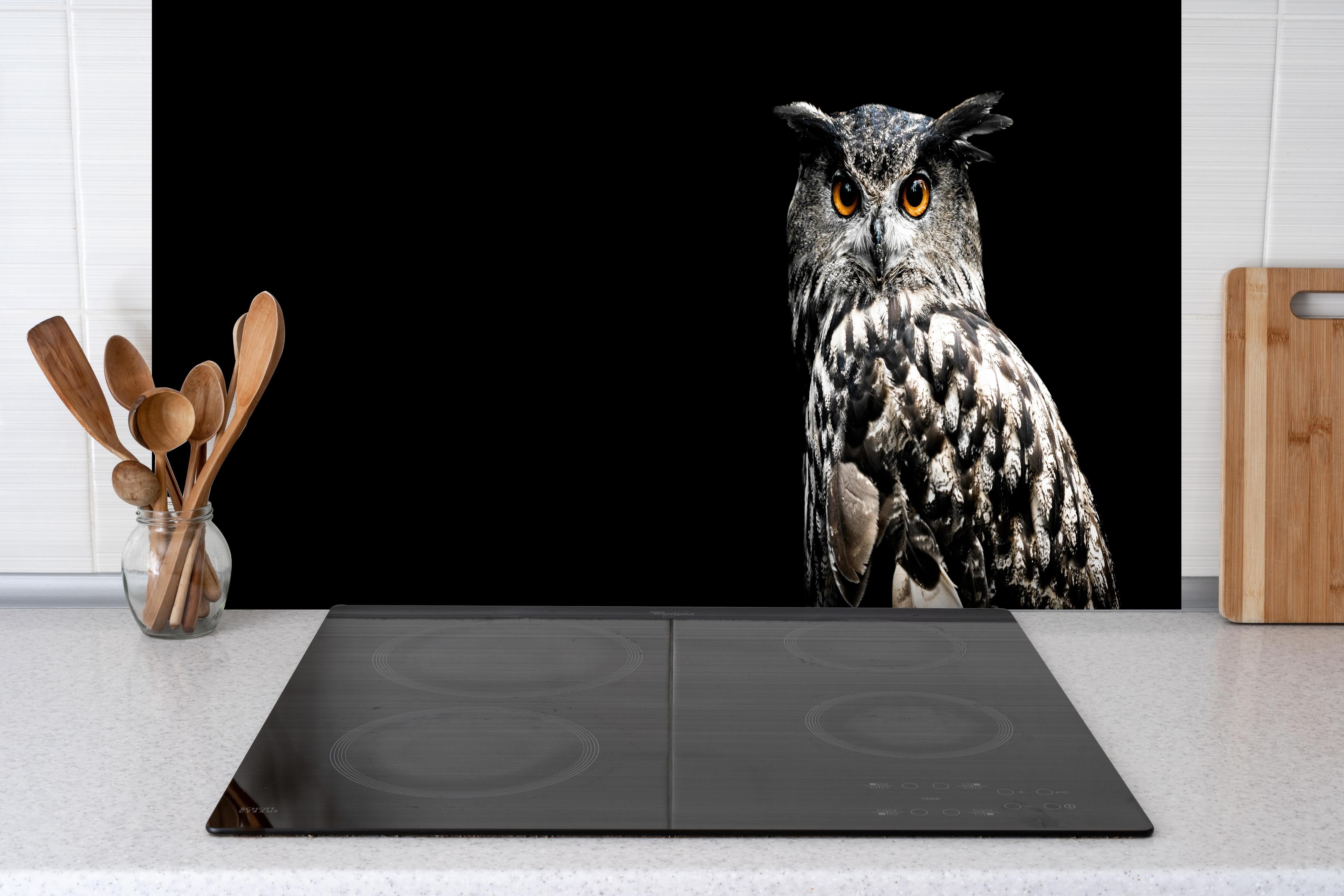 Spritzschutz - Uhu auf schwarzem Hintergrund hinter einem Cerankochfeld zwischen Holz-Kochutensilien
