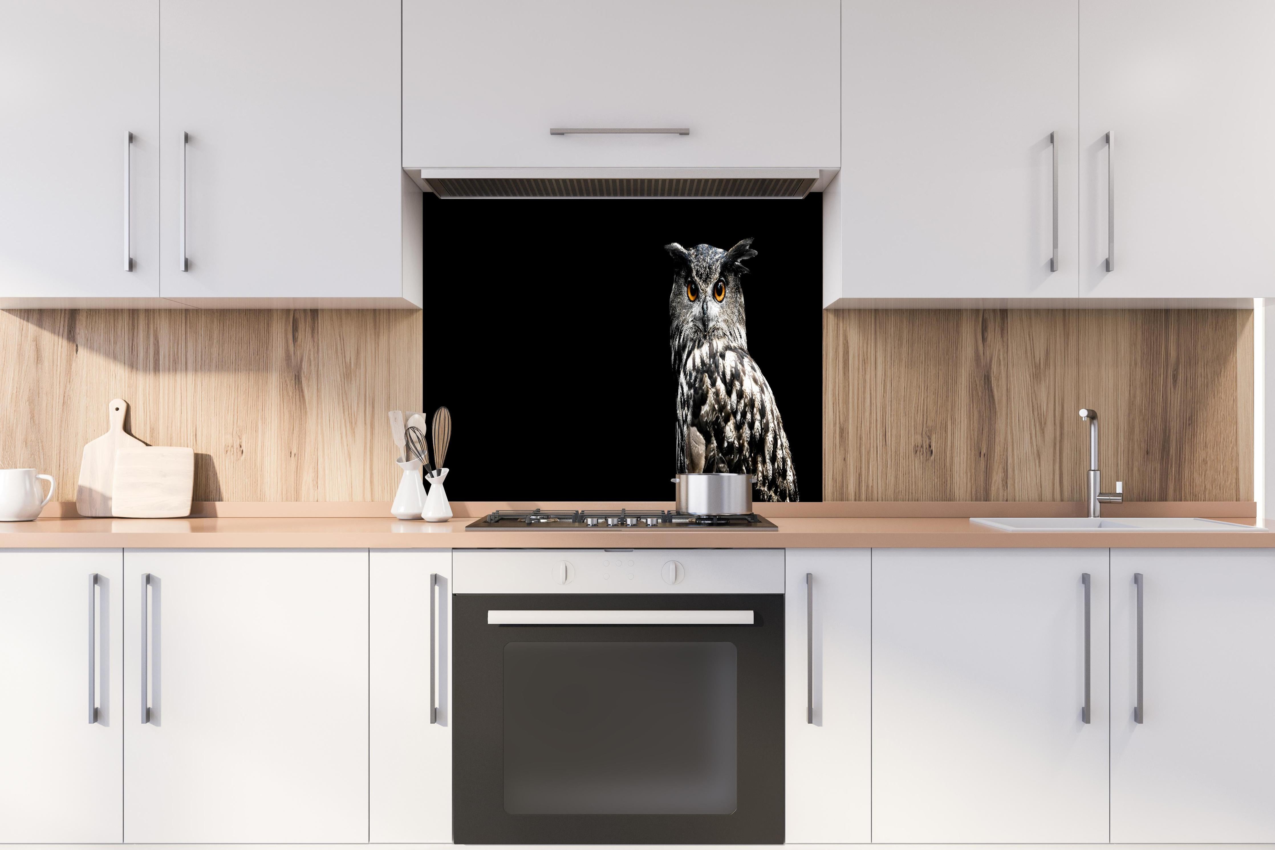 Spritzschutz - Uhu auf schwarzem Hintergrund hinter einem Cerankochfeld zwischen Holz-Kochutensilien
