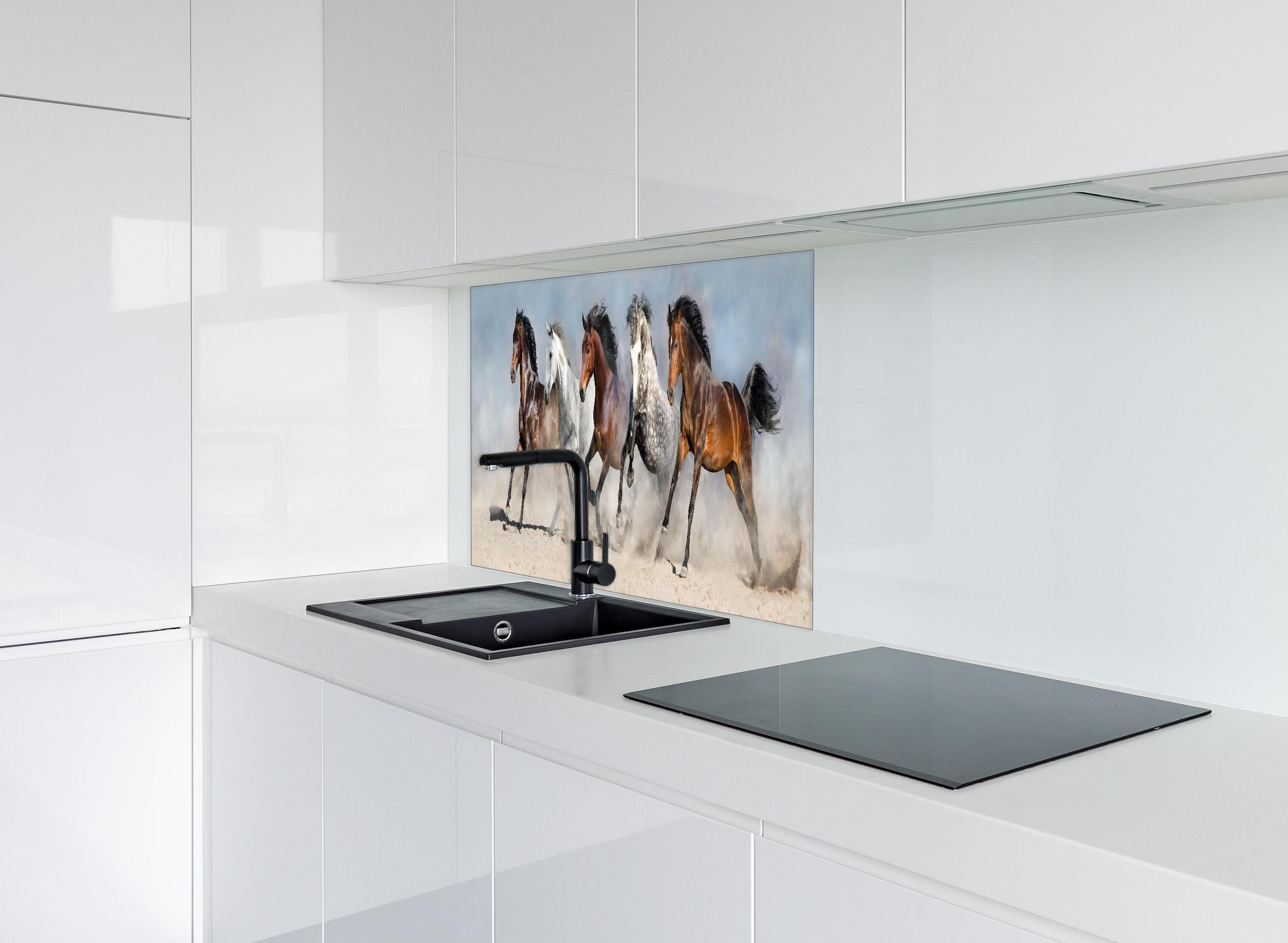 Spritzschutz - Vier Pferde rennen Sandwolke Himmel hinter einem Cerankochfeld zwischen Holz-Kochutensilien
