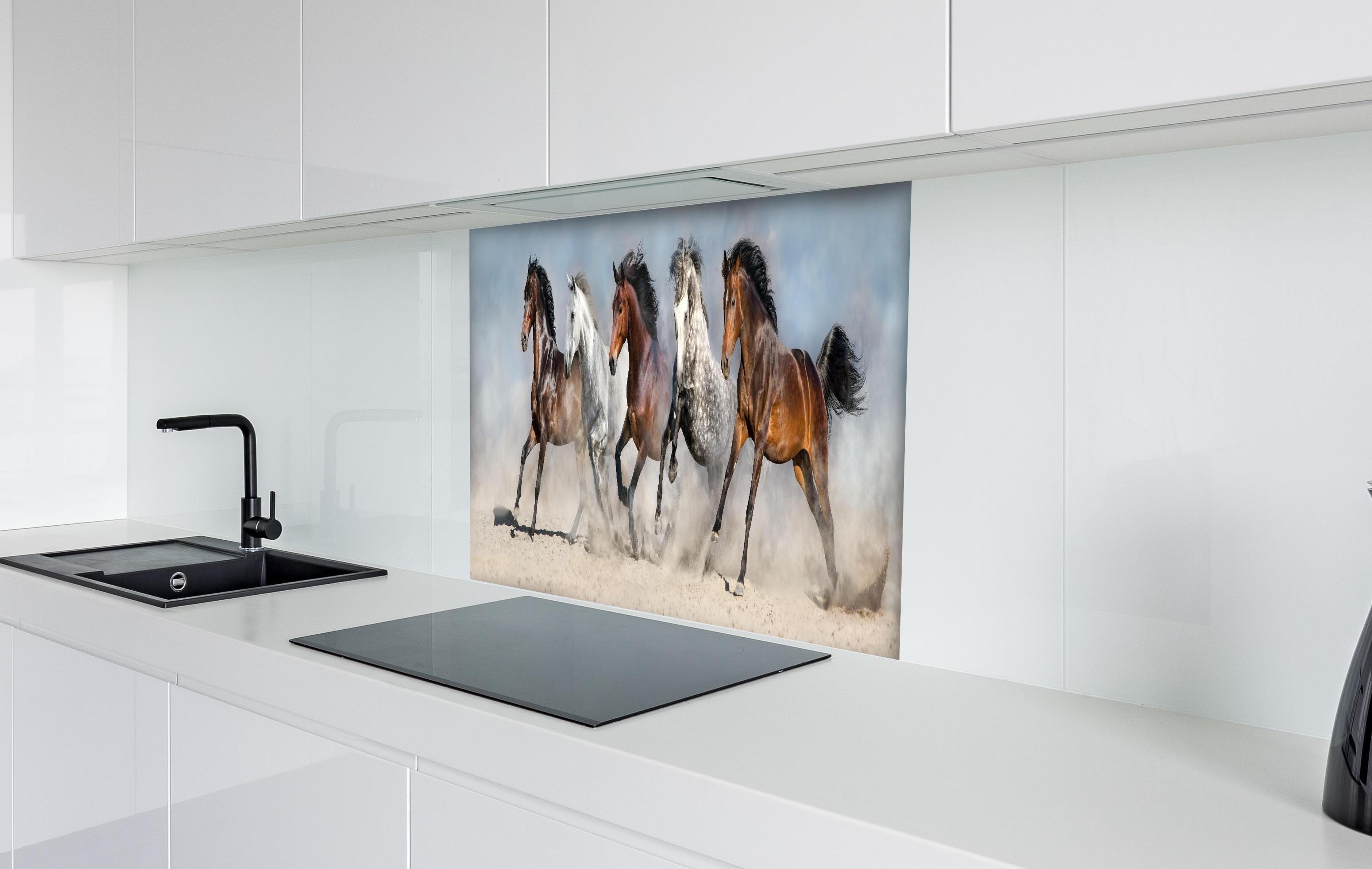 Spritzschutz - Vier Pferde rennen Sandwolke Himmel hinter einem Cerankochfeld zwischen Holz-Kochutensilien
