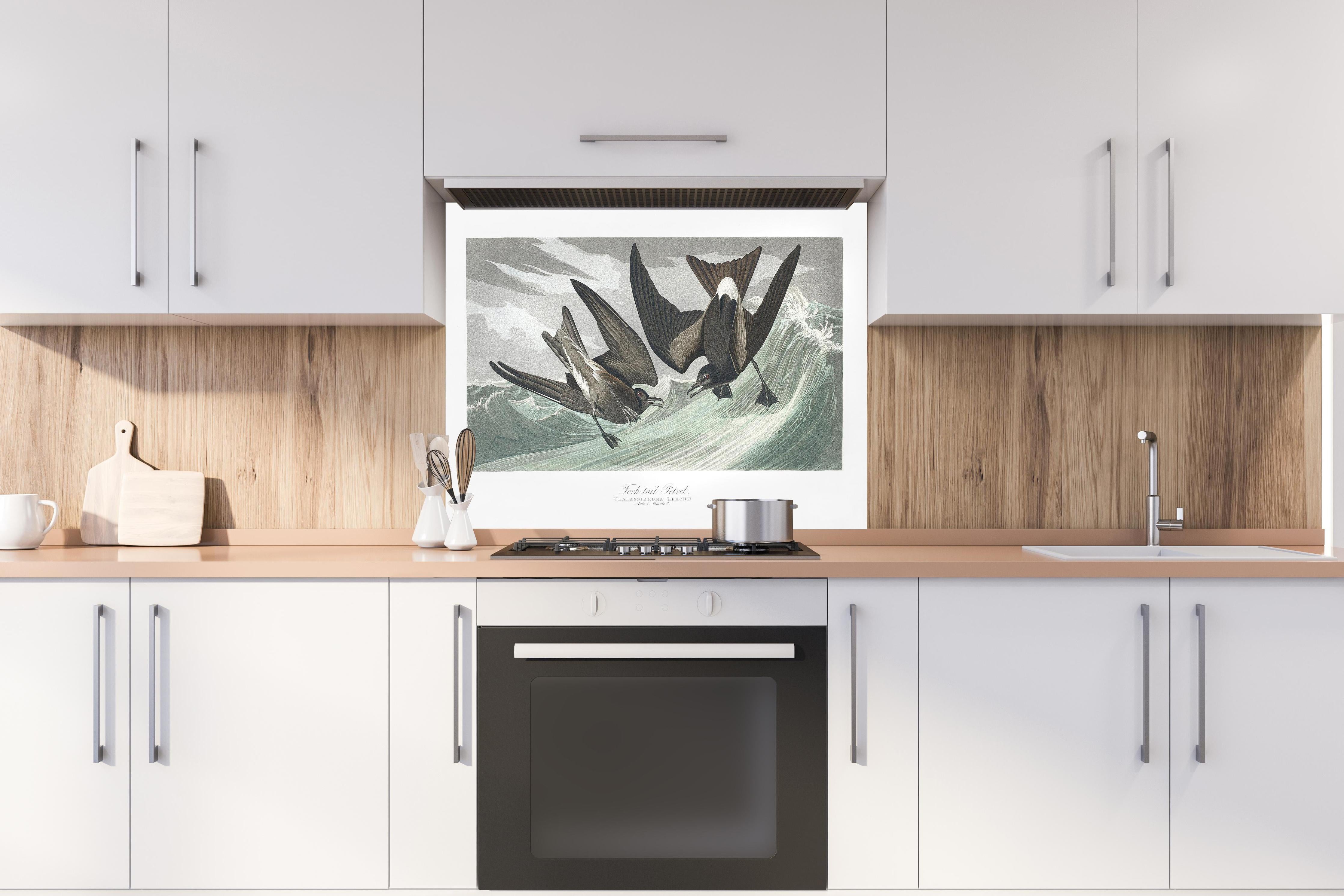 Spritzschutz - Vögel mitten im Meer - Robert Havell  hinter einem Cerankochfeld zwischen Holz-Kochutensilien
