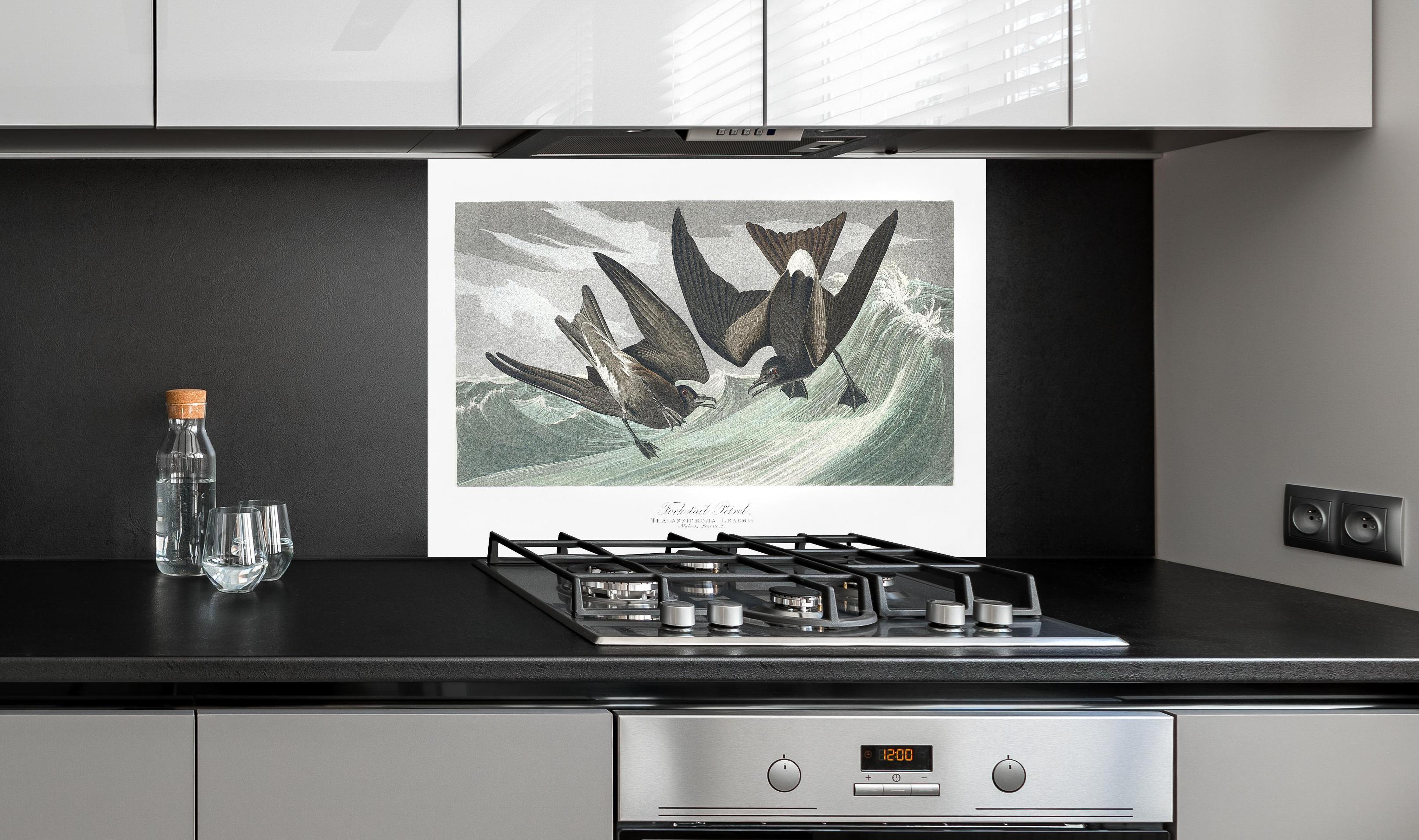 Spritzschutz - Vögel mitten im Meer - Robert Havell  hinter einem Cerankochfeld zwischen Holz-Kochutensilien
