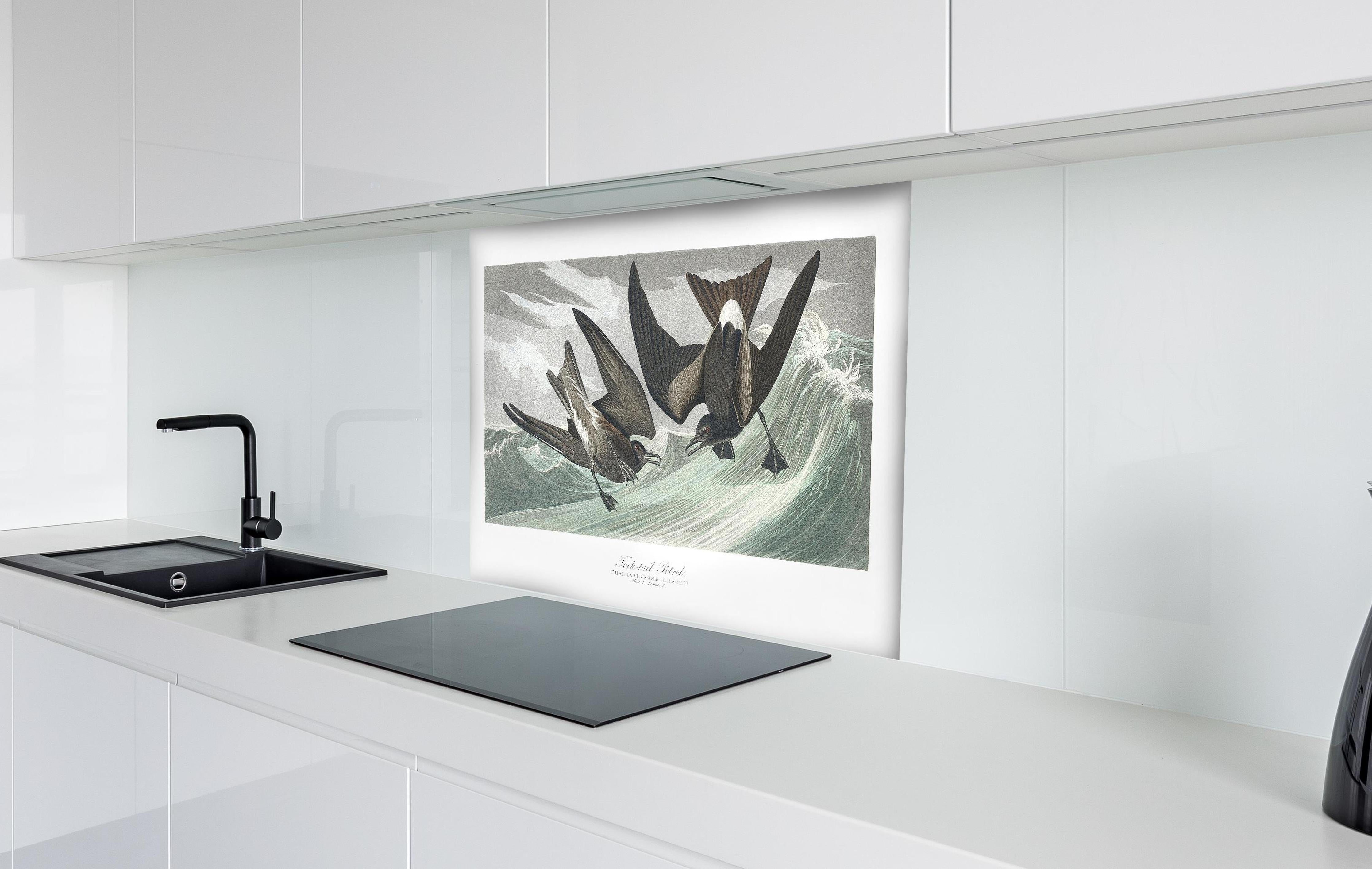 Spritzschutz - Vögel mitten im Meer - Robert Havell  hinter einem Cerankochfeld zwischen Holz-Kochutensilien
