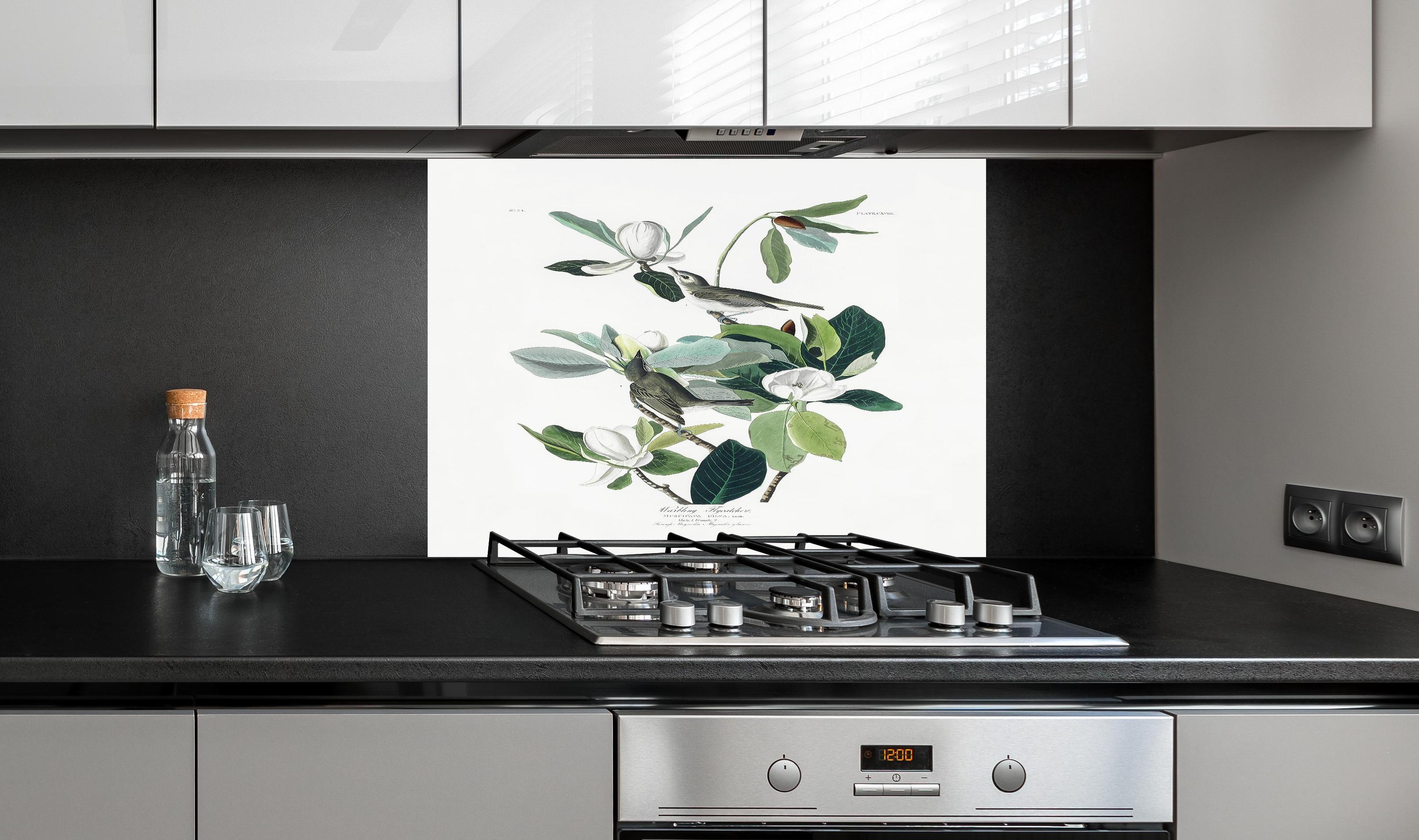 Spritzschutz - Vogel Gemälde - John James Audubon hinter einem Cerankochfeld zwischen Holz-Kochutensilien
