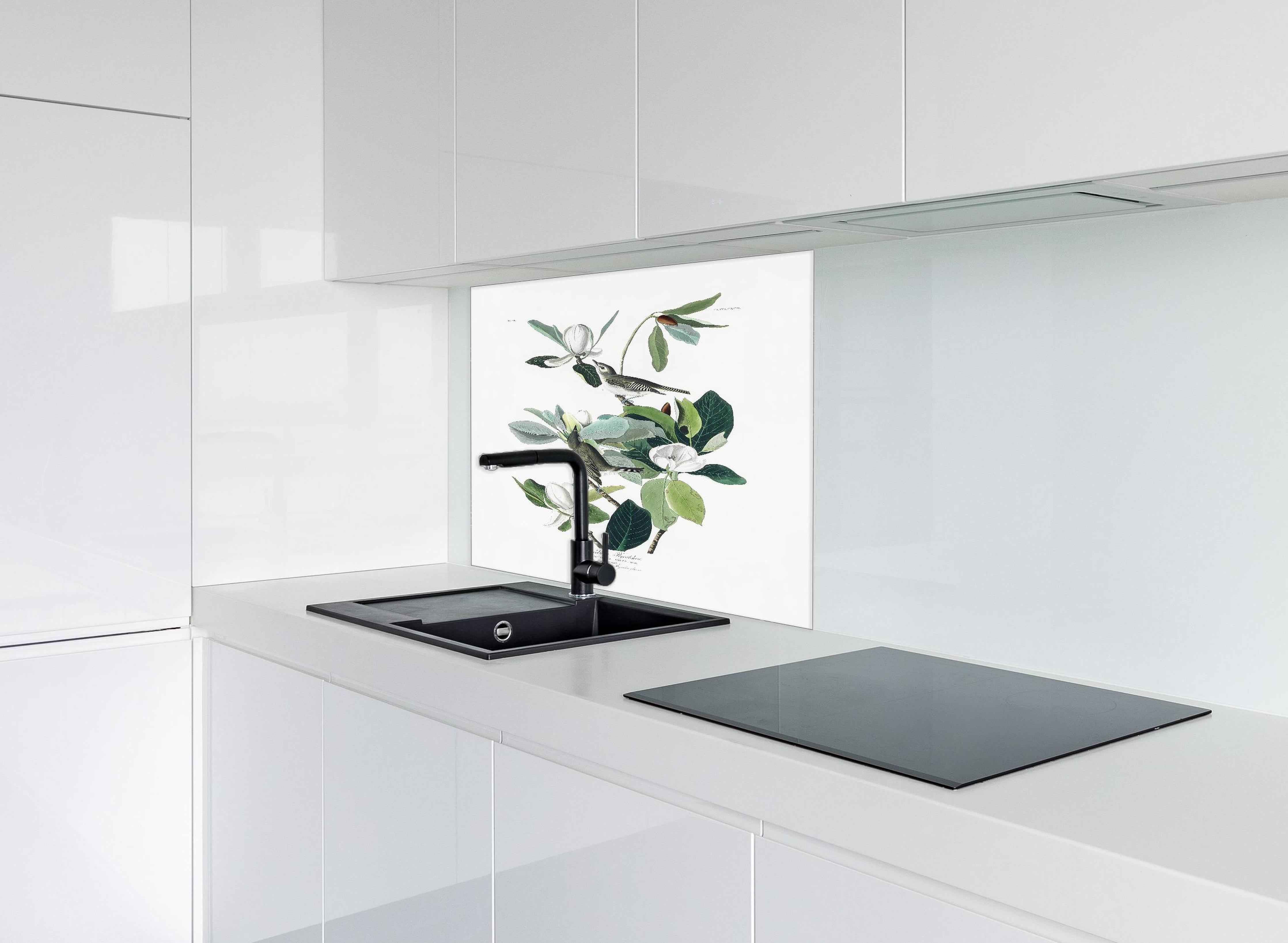 Spritzschutz - Vogel Gemälde - John James Audubon hinter einem Cerankochfeld zwischen Holz-Kochutensilien
